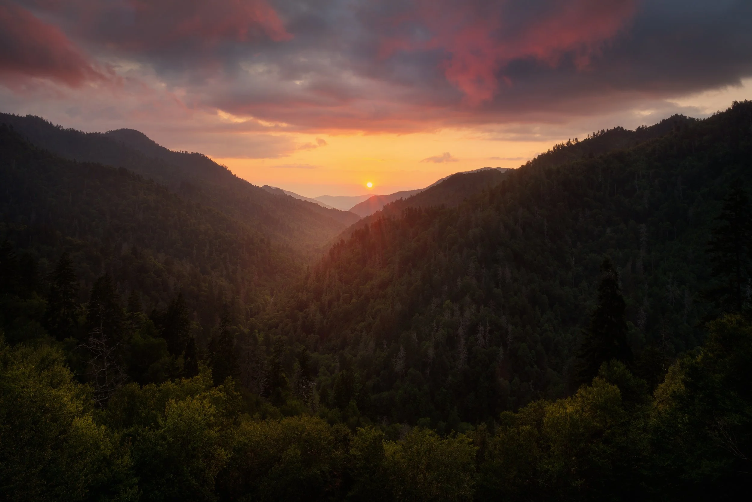 Morton's Liquid Gold_2.jpg