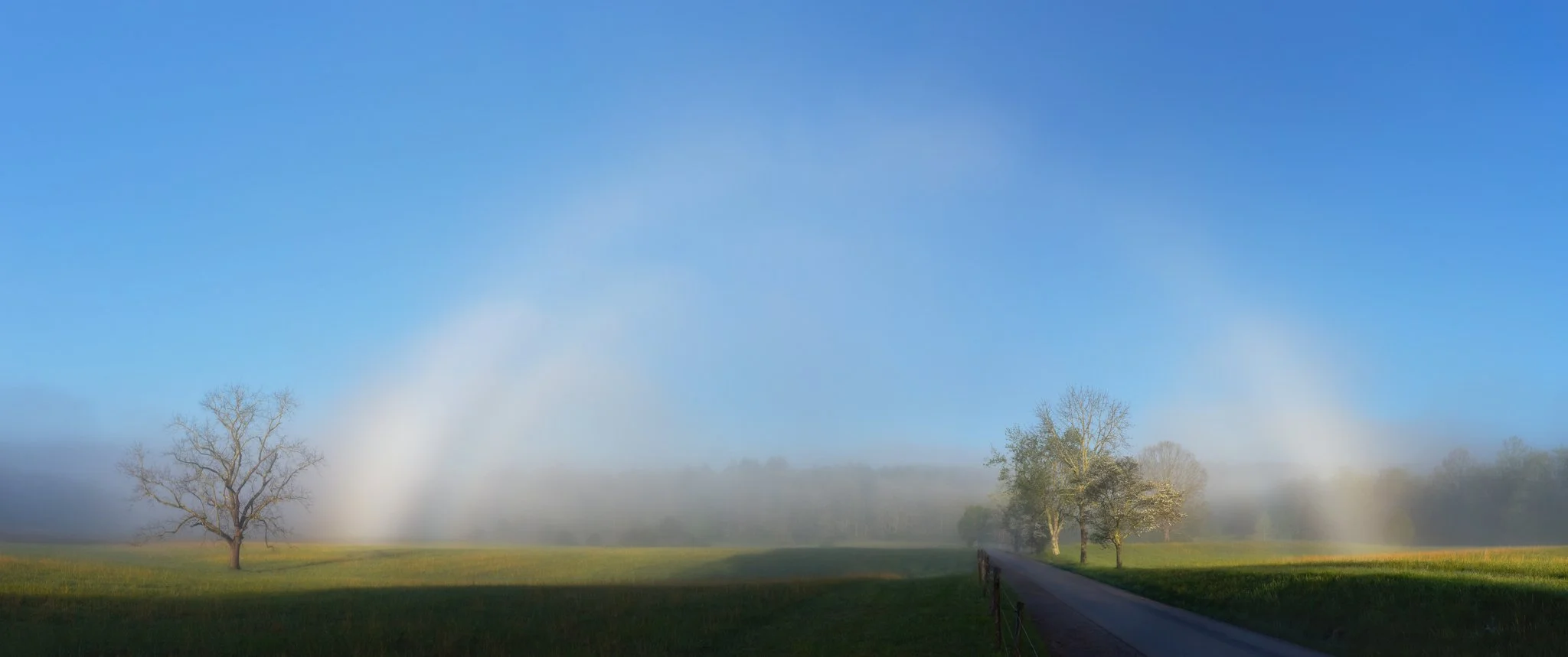Fogbow_Cades Cove_1nf.jpg