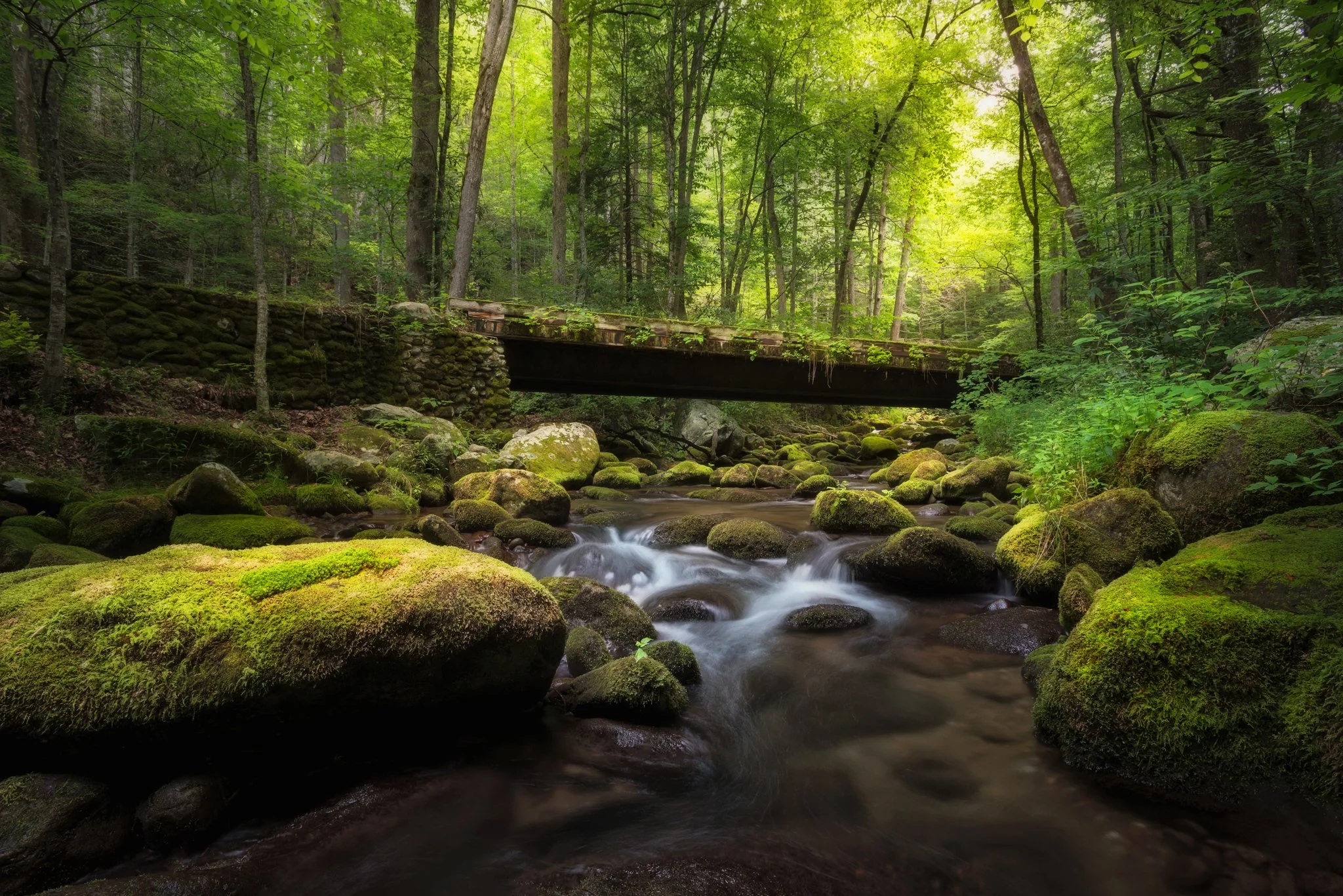 Roaring Fork Bridge_1nf.jpg