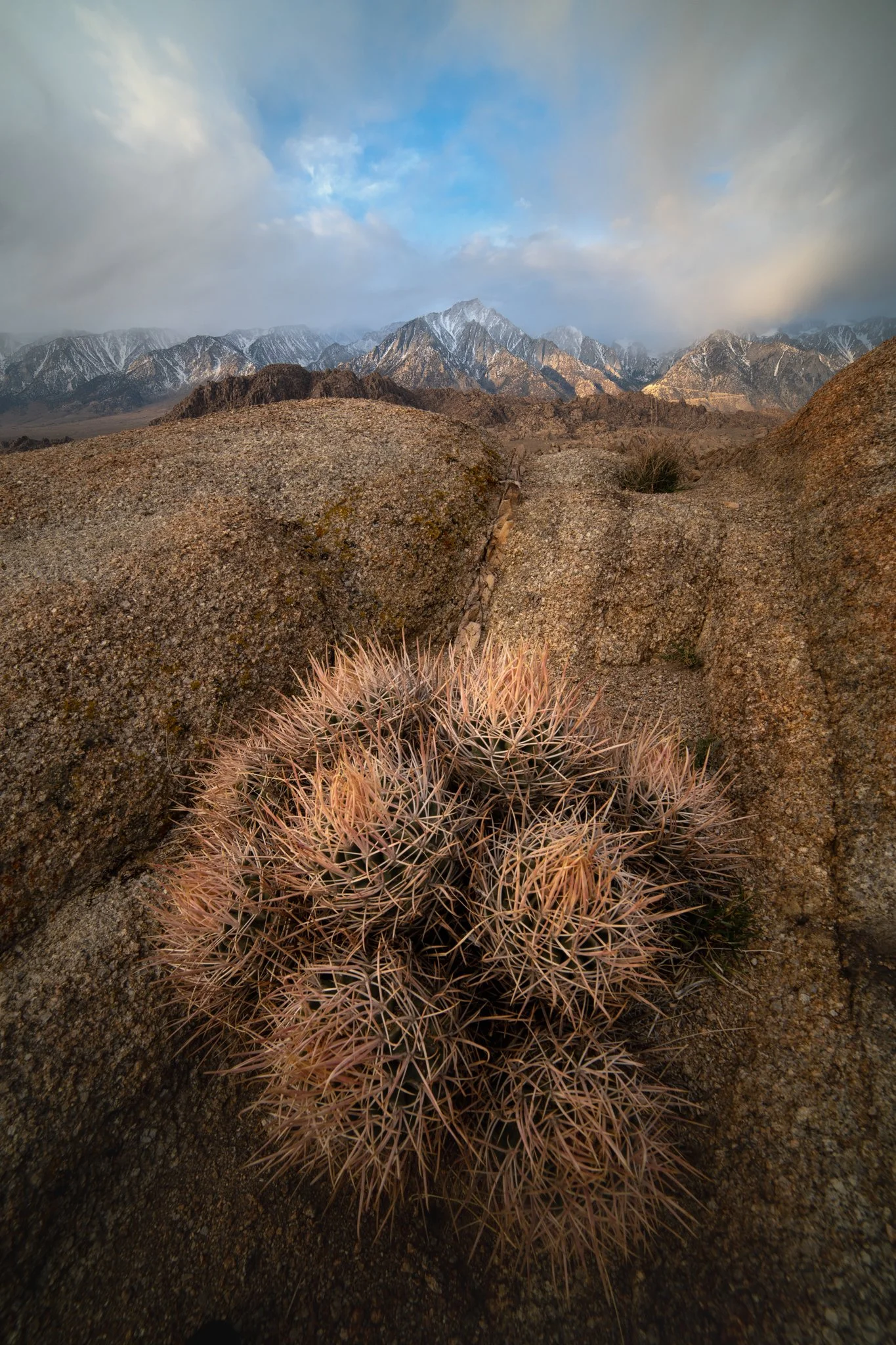 Death Valley & Alabama Hills Workshop with Mark Denney