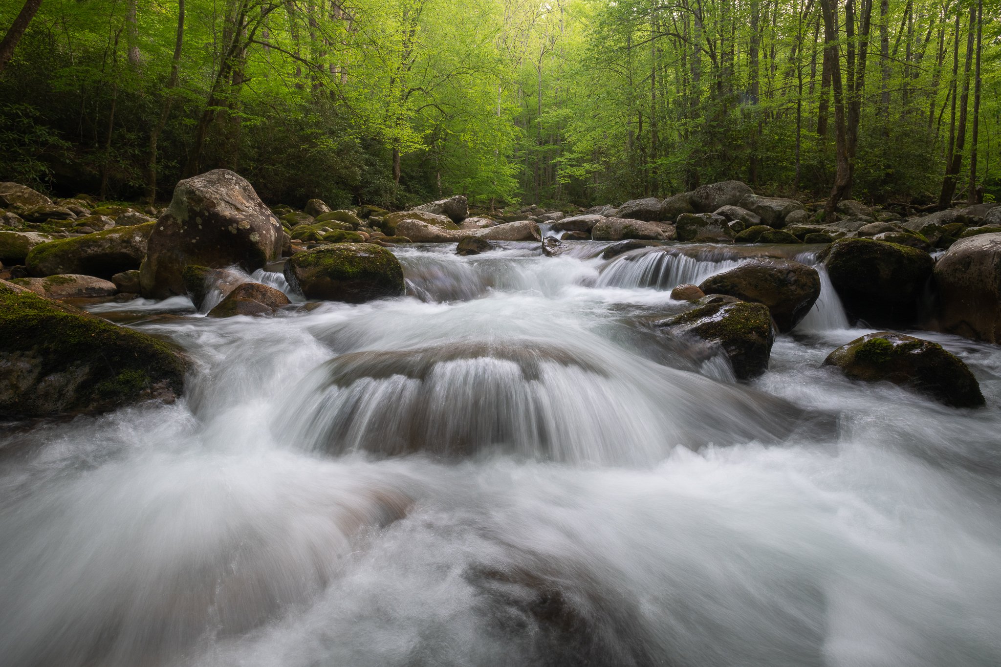 _DSC2028-1.jpg