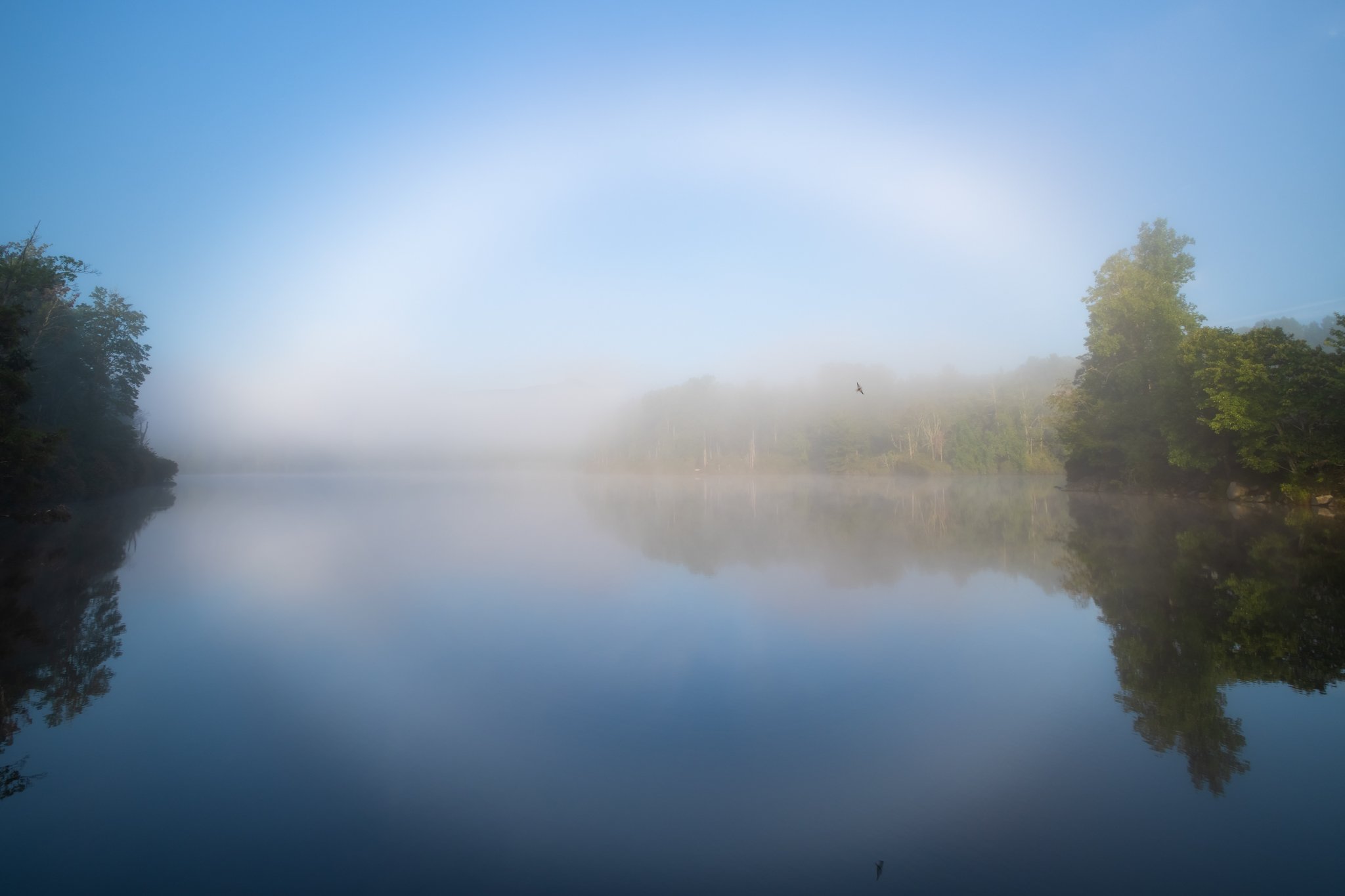 Price Lake fogbow_1.jpg
