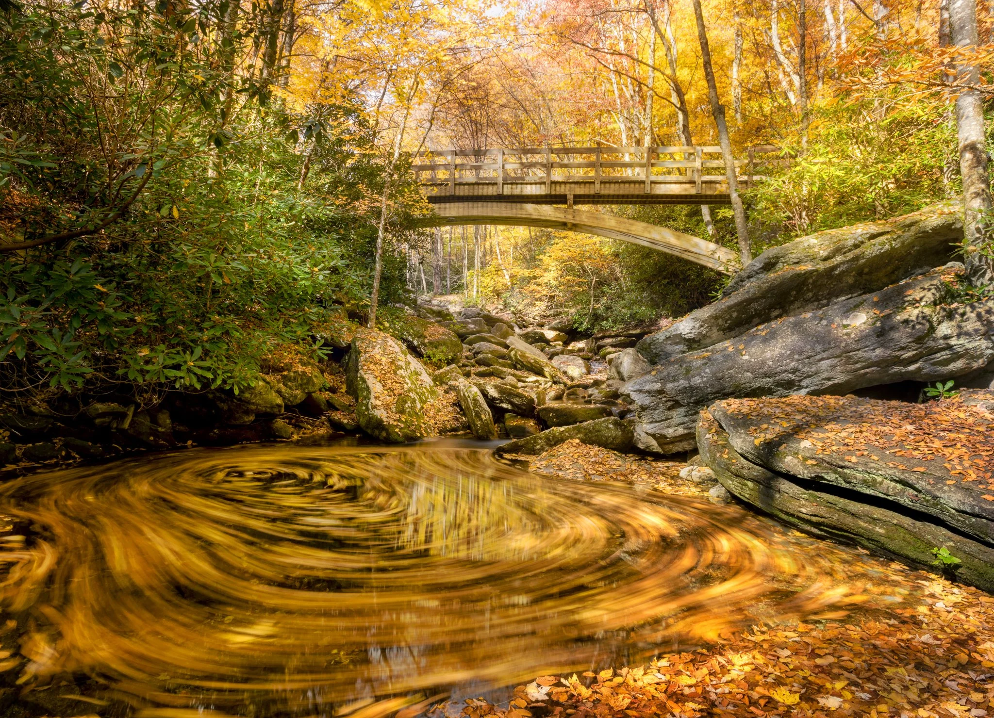 Boone Fork Swirl_2n.jpg