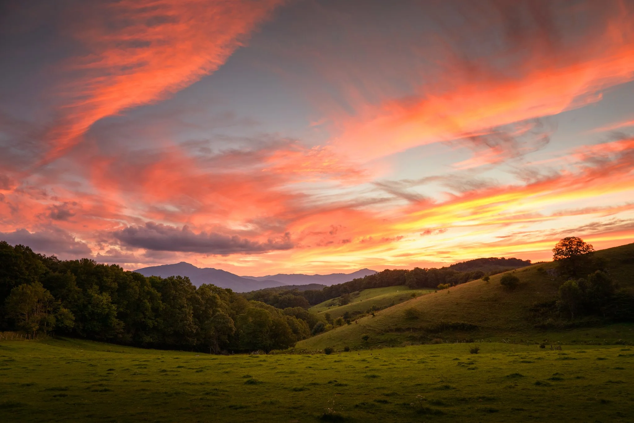 Moses Cone Valley_2fnew.jpg