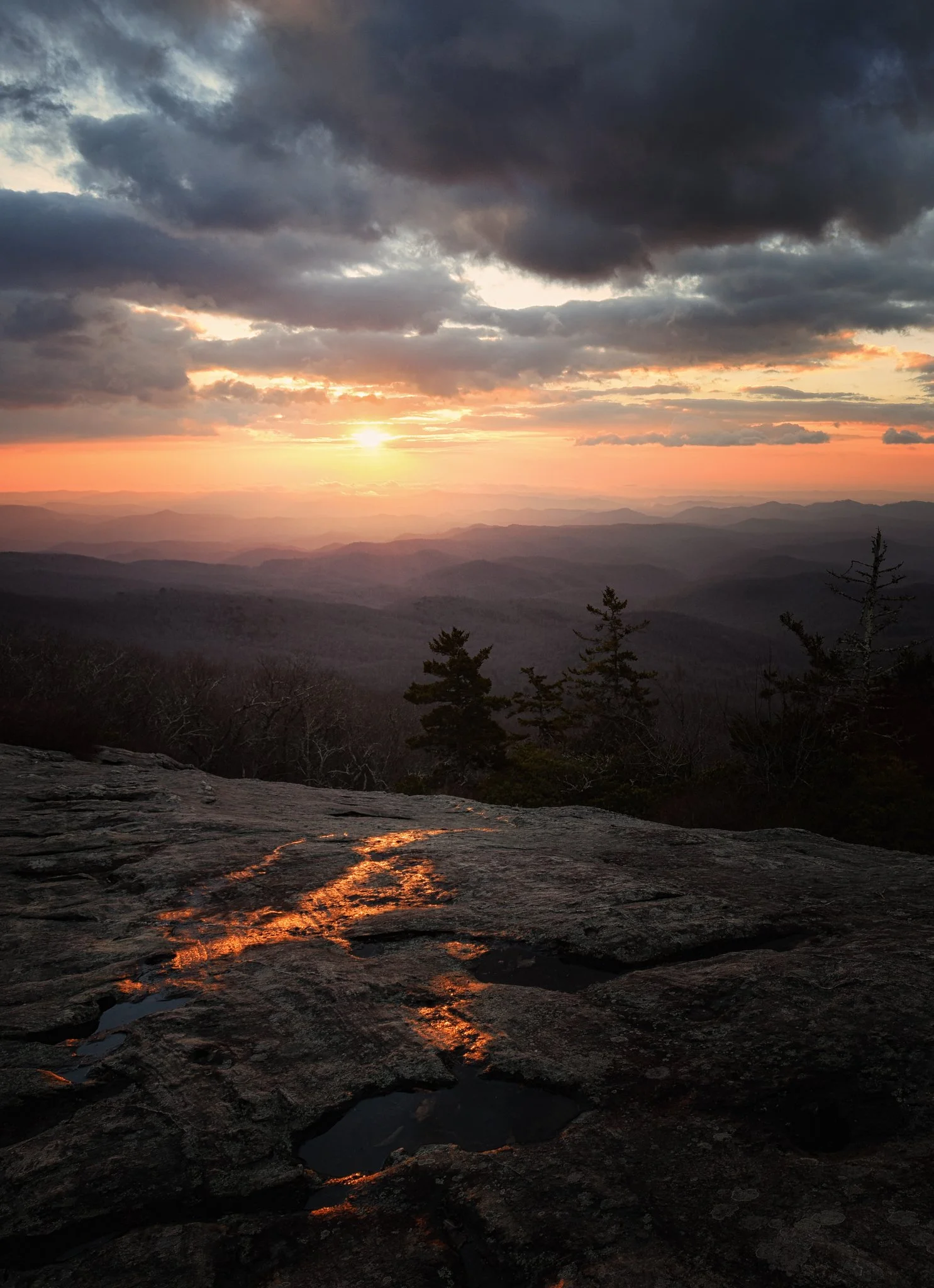 Beacon Golden reflection Vert_3.jpg