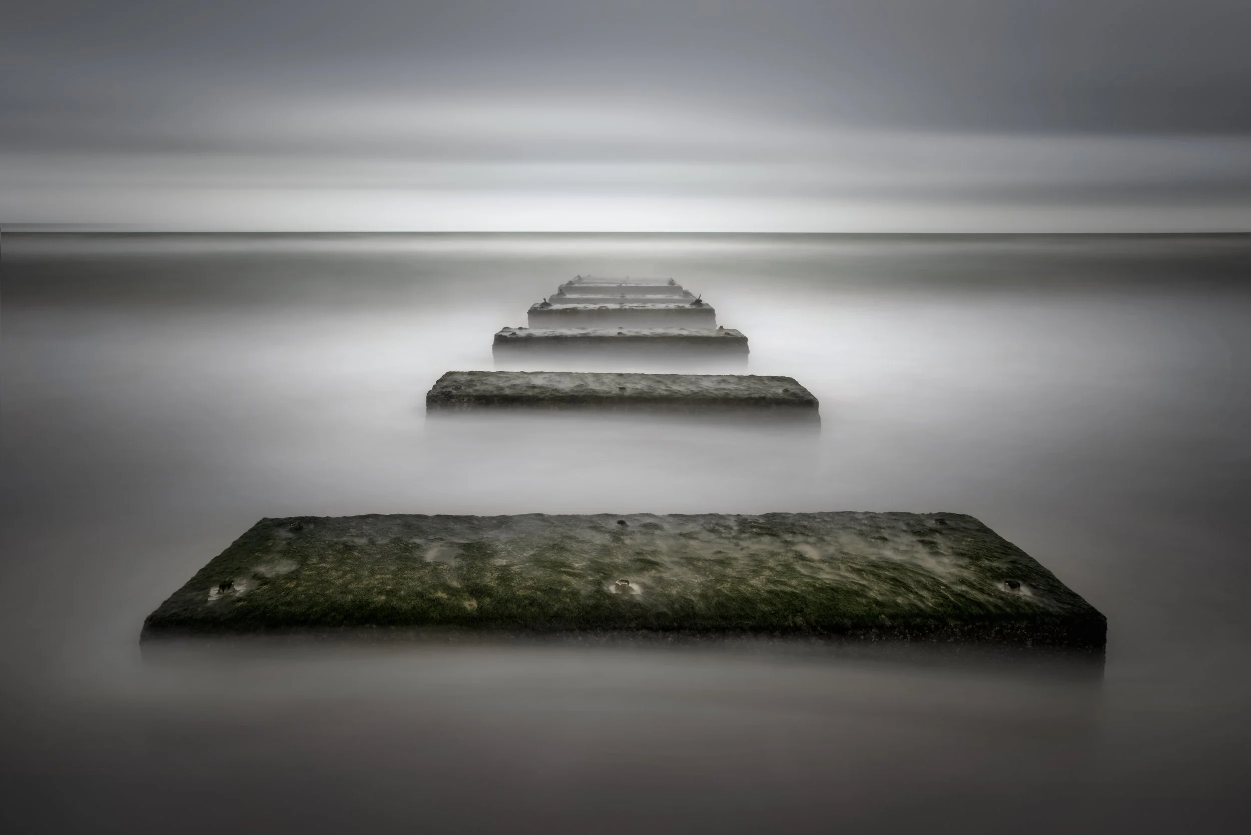 Planks_1.jpg