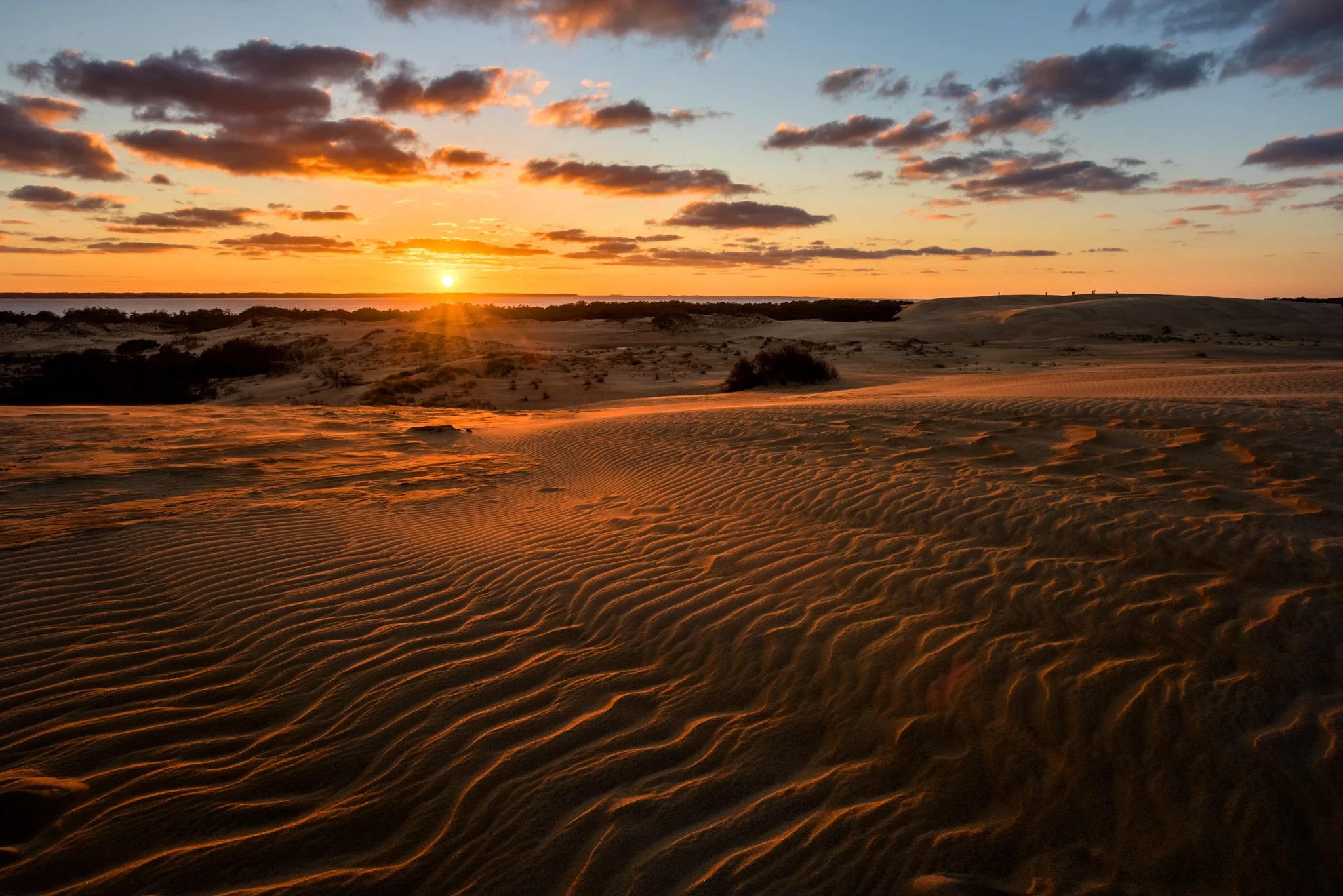 Jockey's Ridge_2.jpg