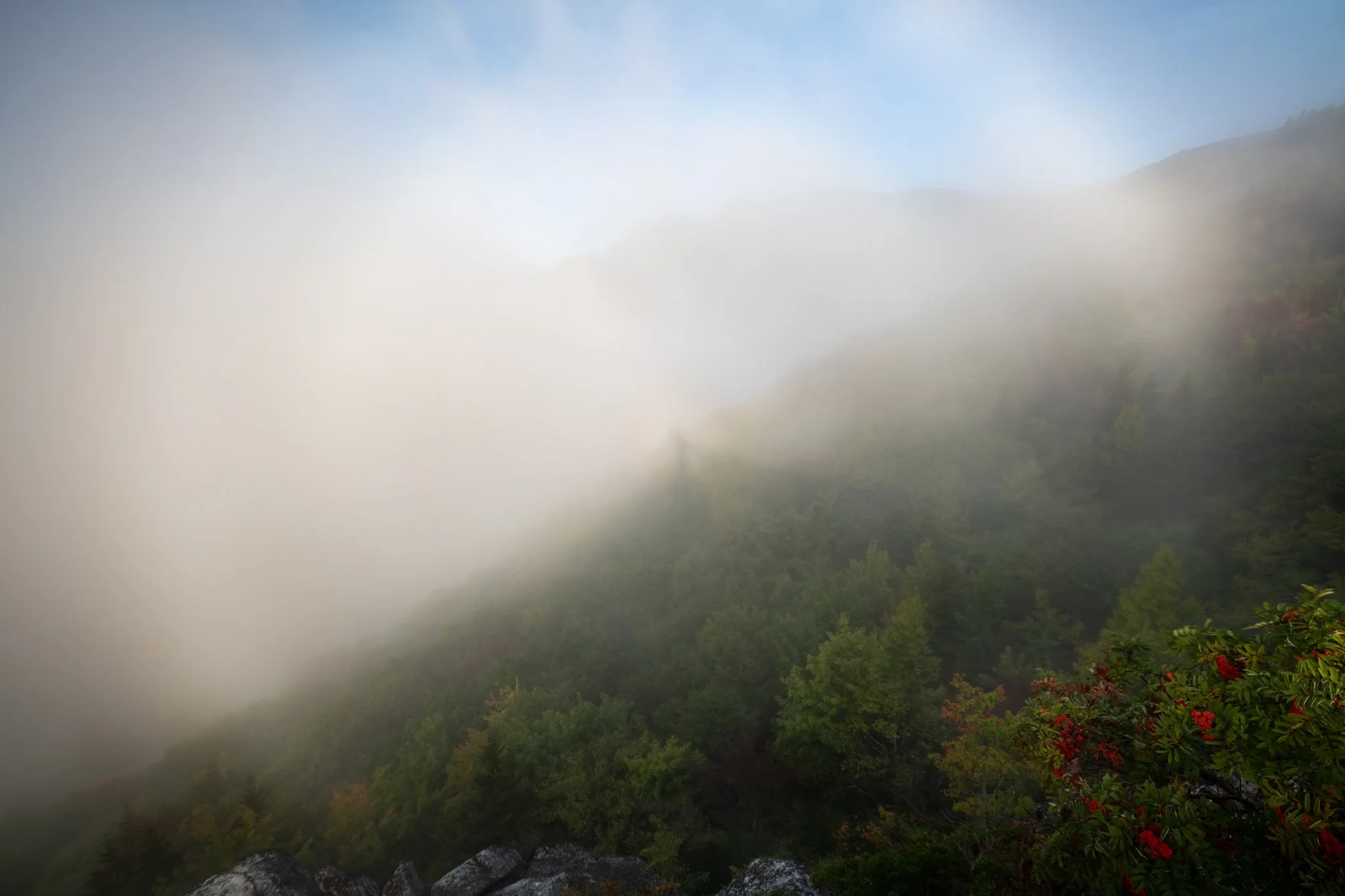 Me and Spectre_2.jpg