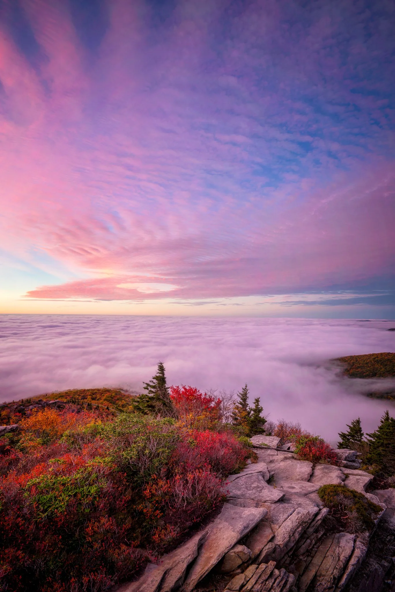 Rough Ridge all seeing eye Vert_5.jpg