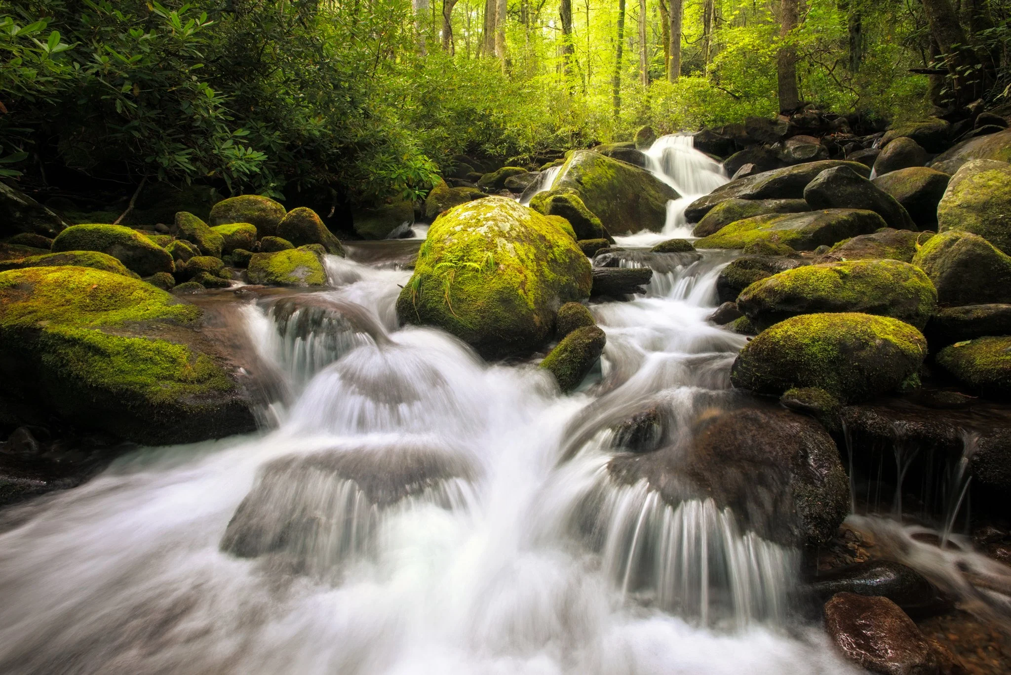 Roaring Fork first falls_4f.jpg