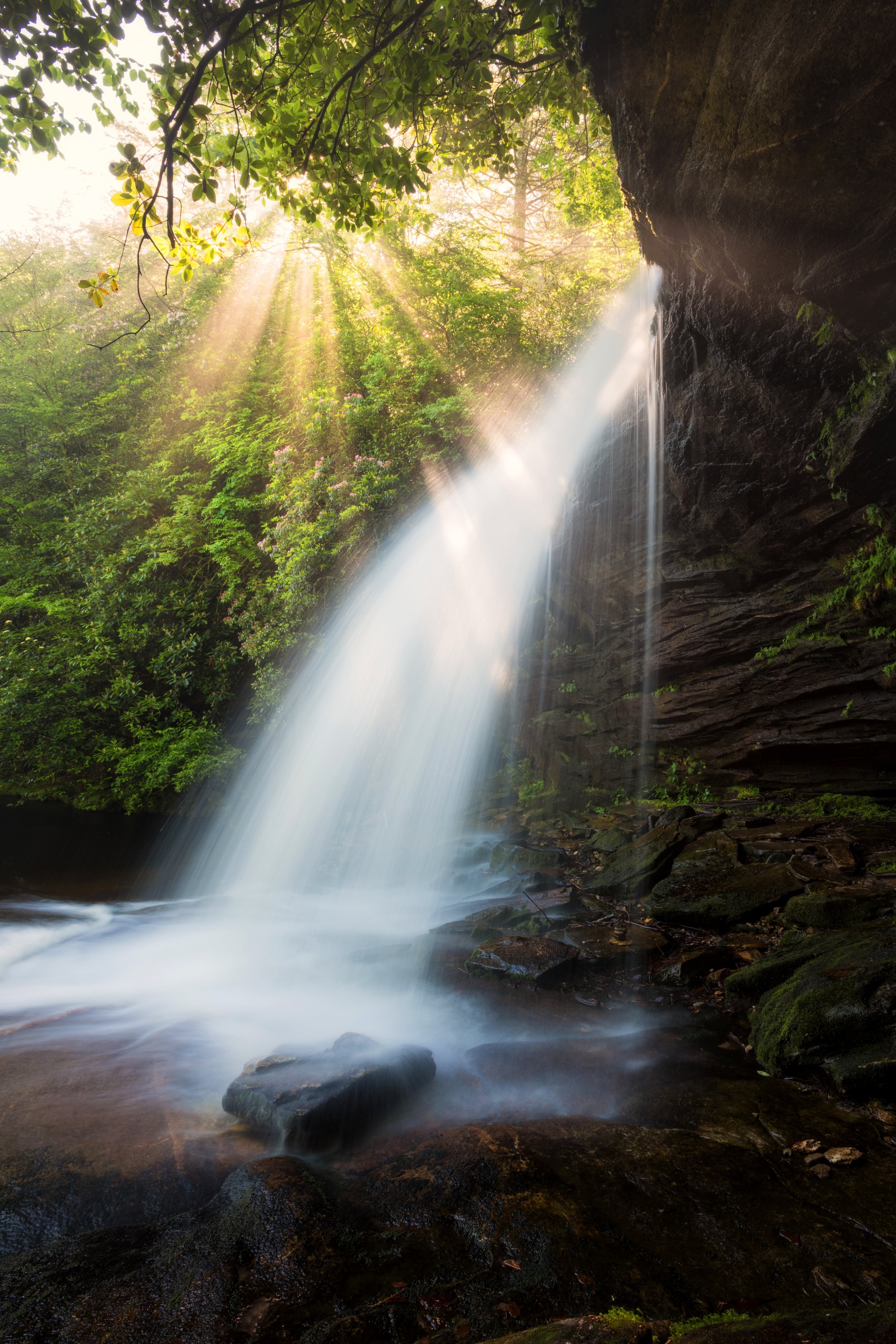 Schoolhouse Falls foggy spring_1nf.jpg