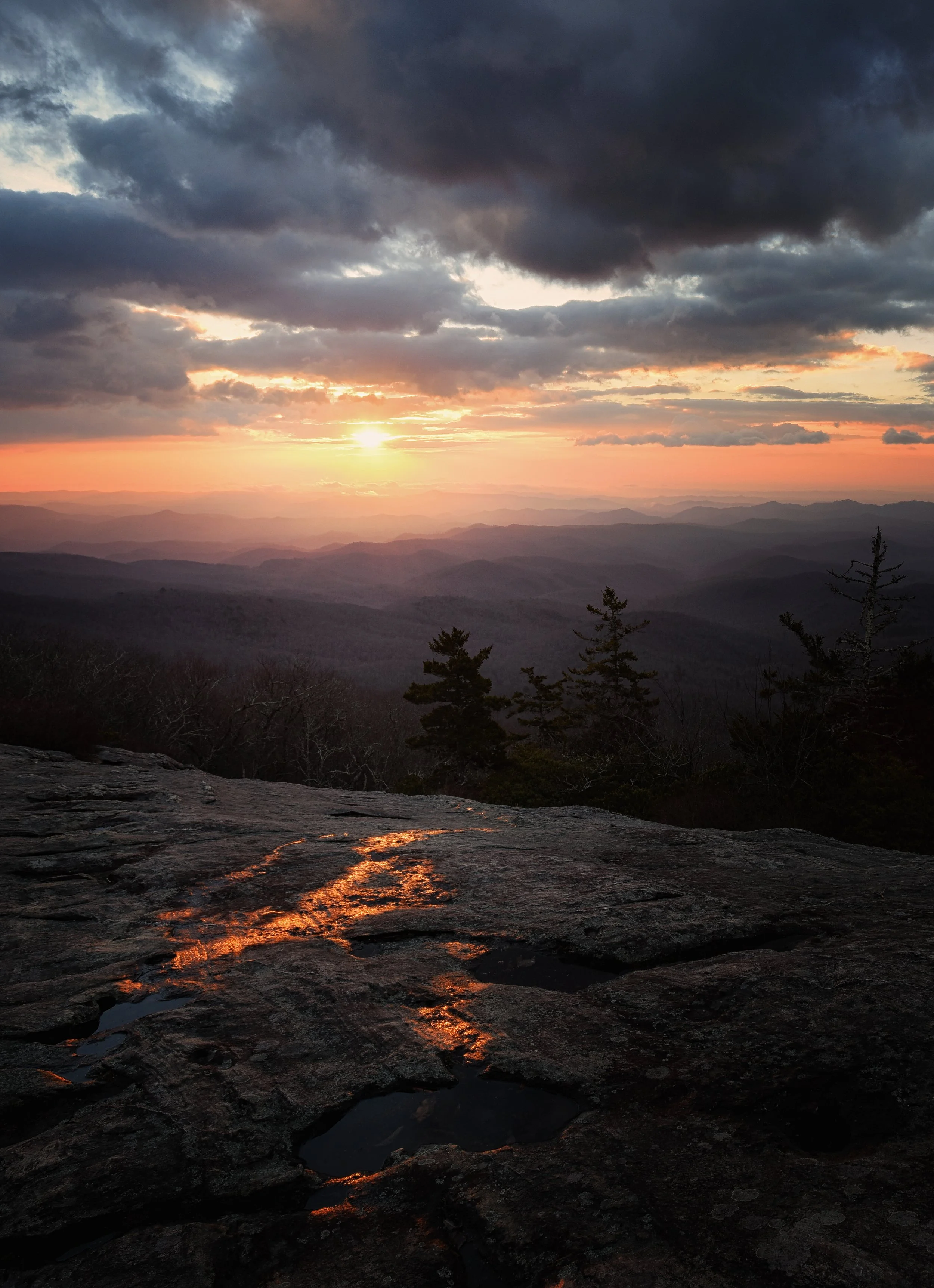 Beacon Golden reflection Vert_3.jpg