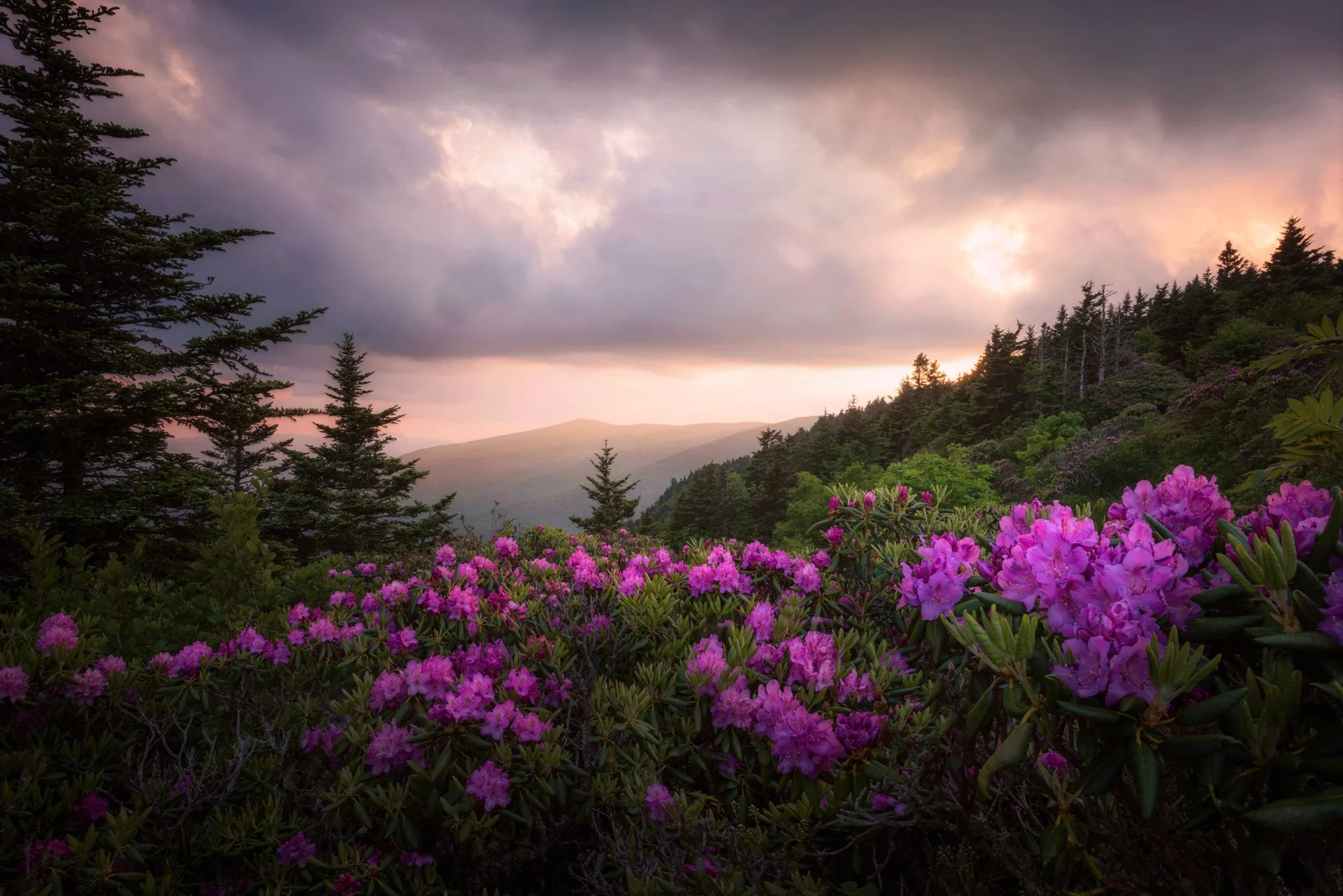 Roan Sunset from Grassy_3new.jpg