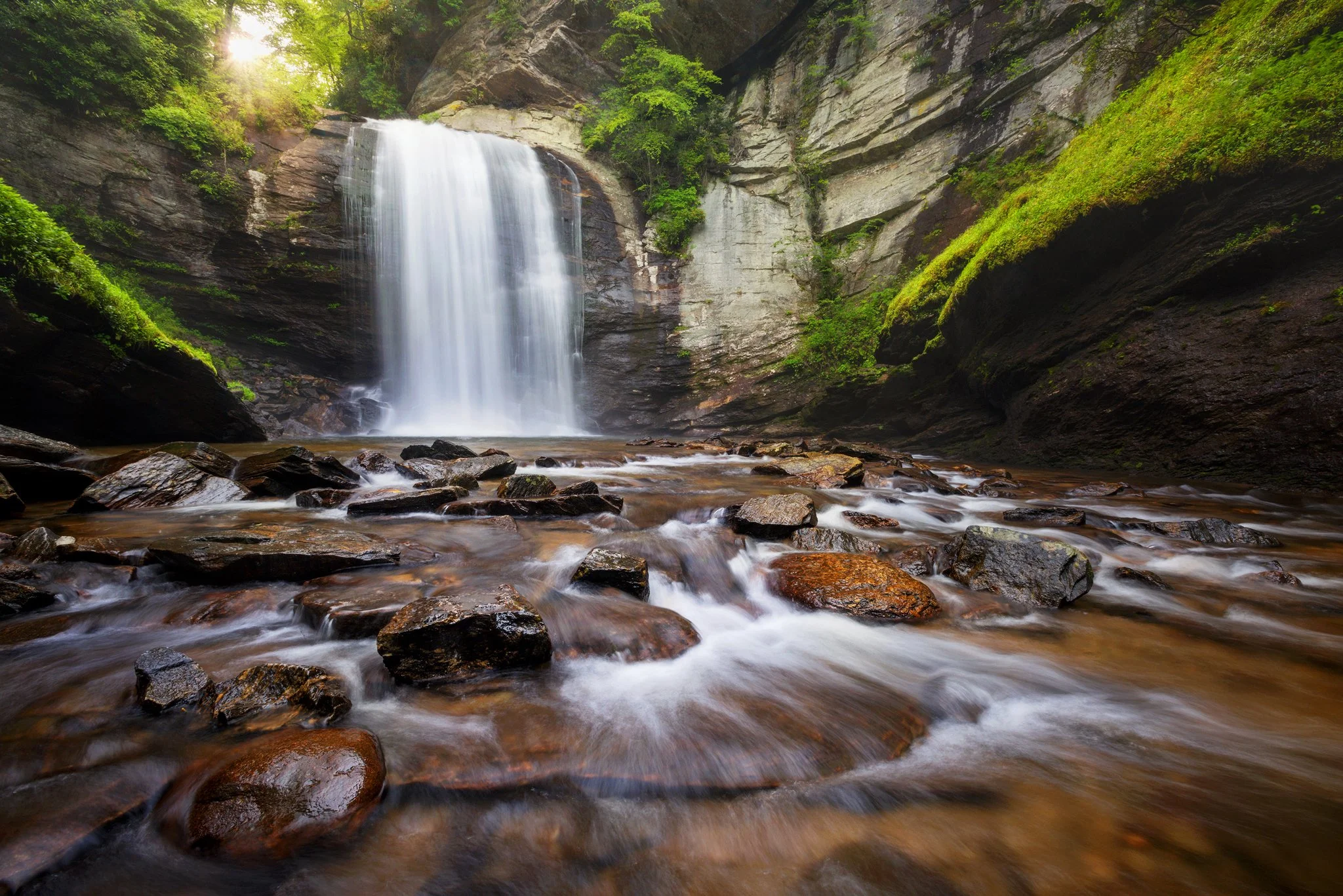 Looking Glass Summer_4f.jpg