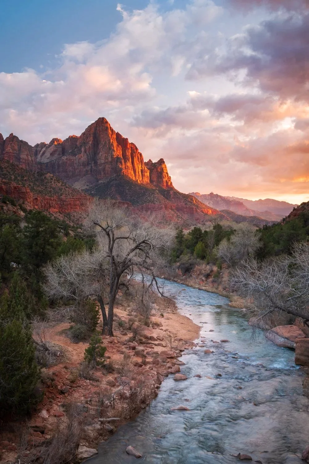 The+Watchman_3w.jpg