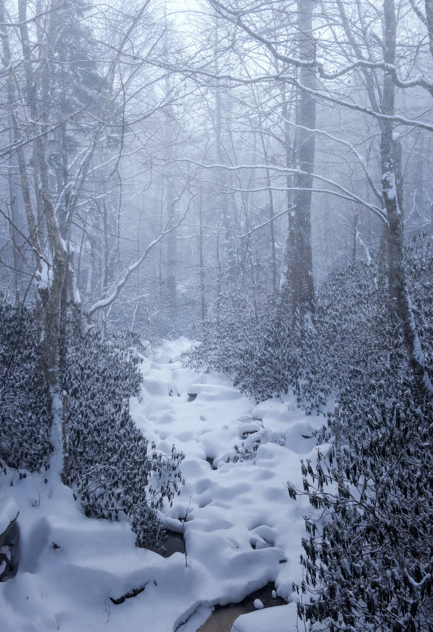 Snow Covered Creek, 221_2.jpg