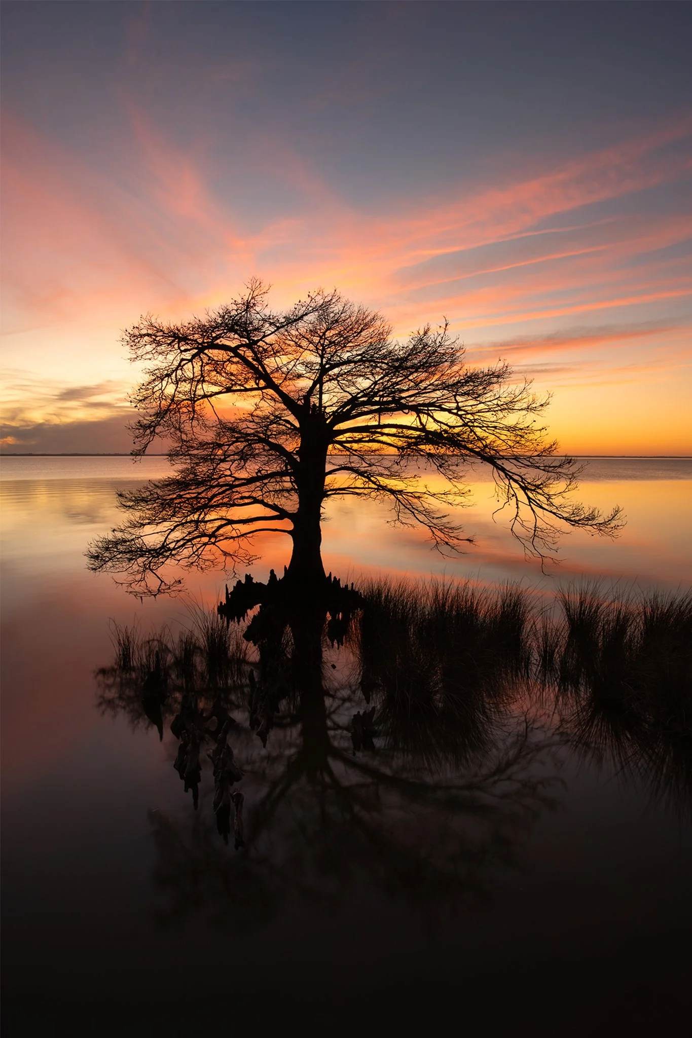 Little Cypress Sunset_Duck_1w copy.jpg