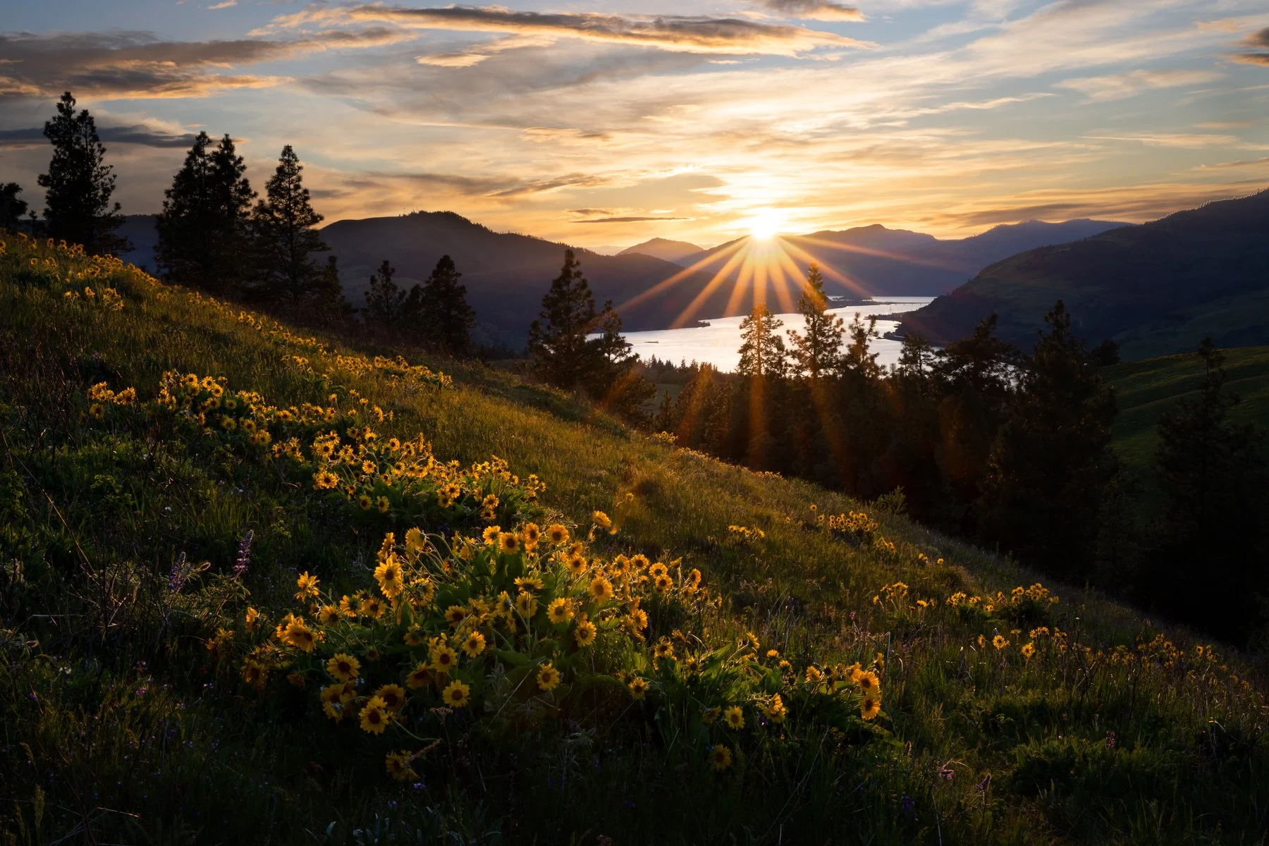 _TWP6387-Edit.jpg