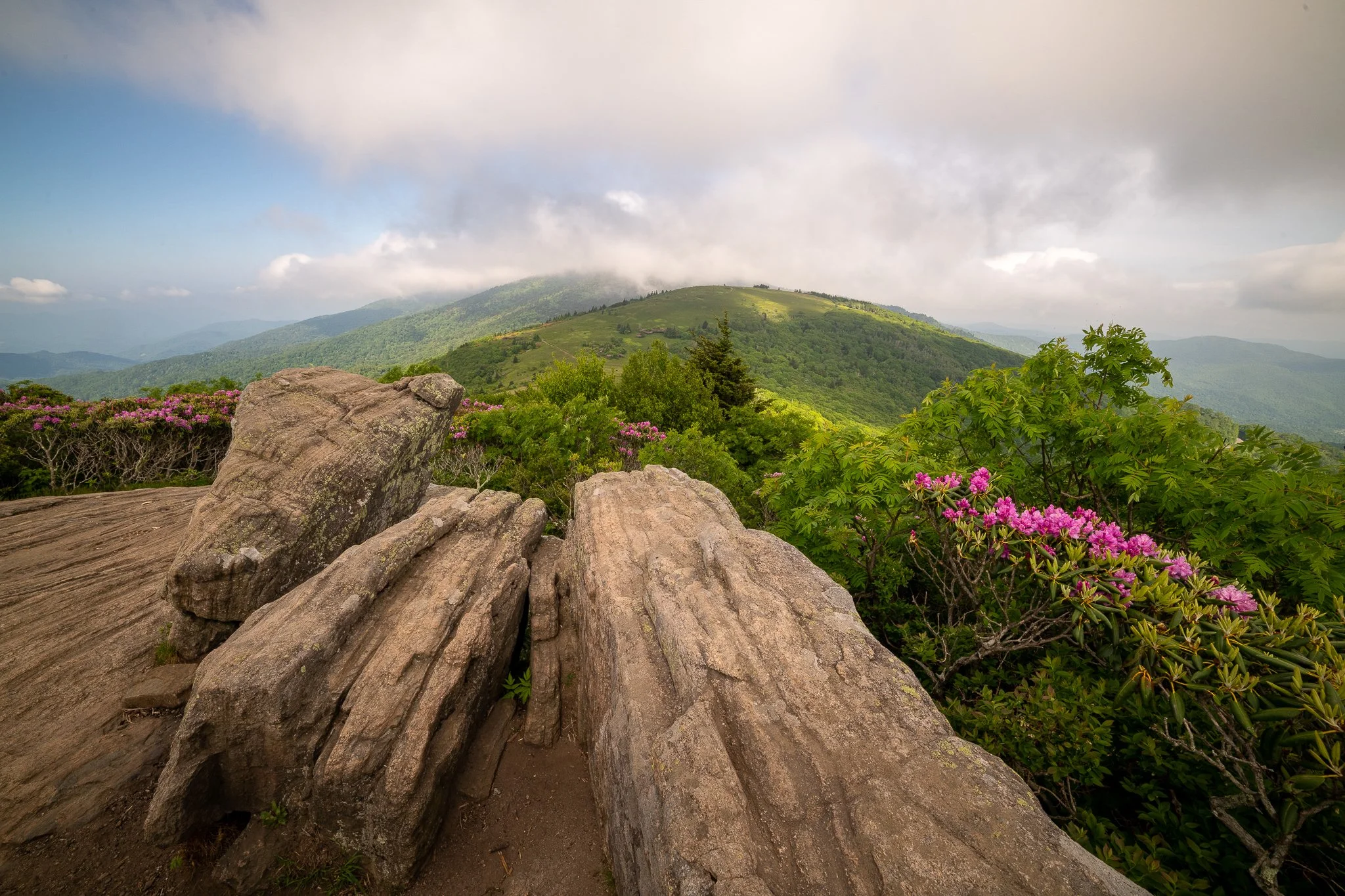 _DSC8353.jpg