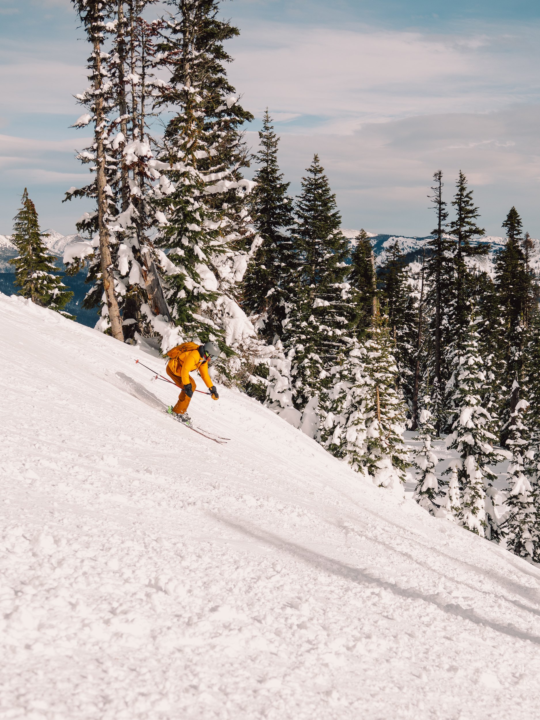A person wearing yellow winter gear skiing downhill in a snowy forest with pine trees, under a partly cloudy sky.