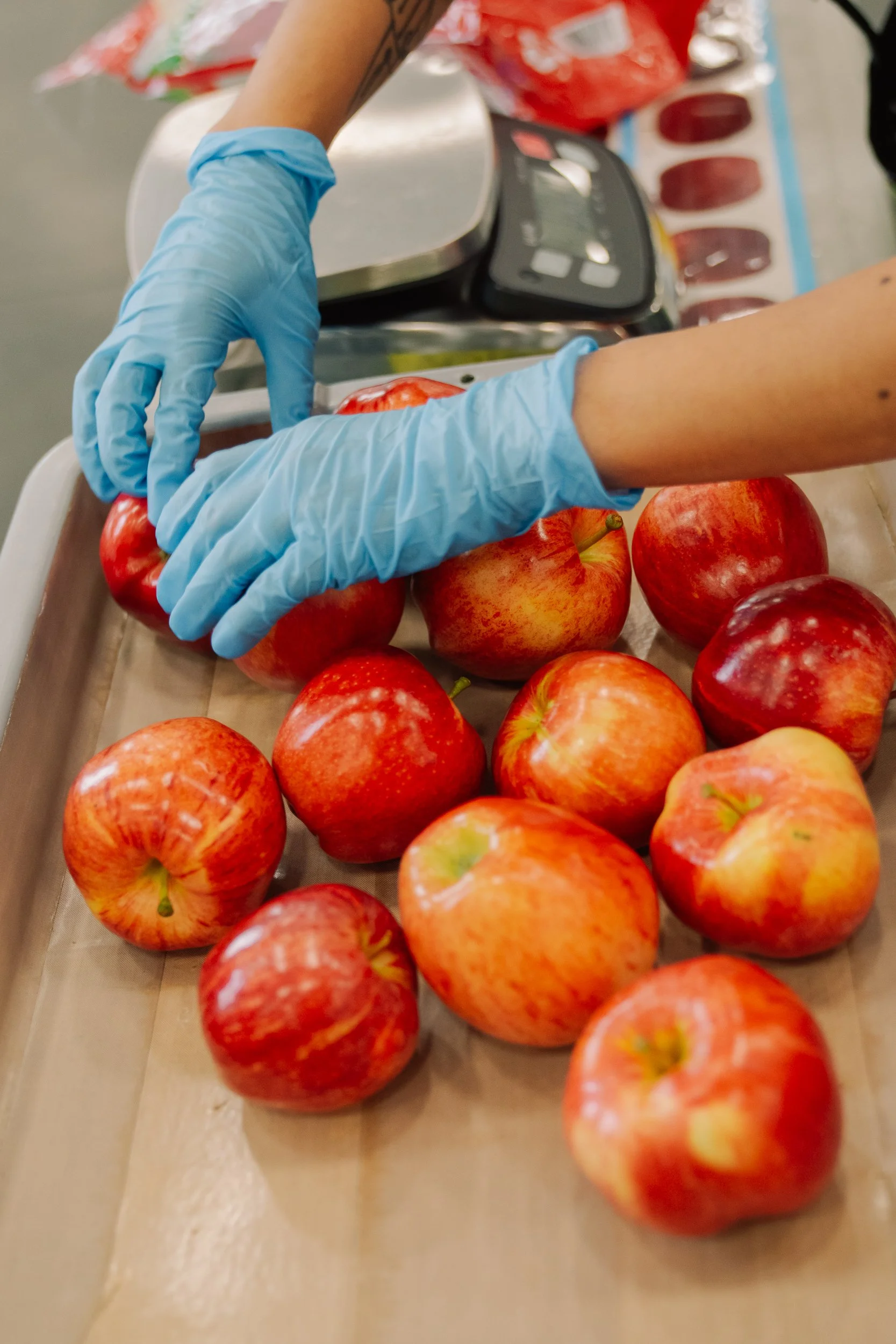 Linda Fruit-24.jpg