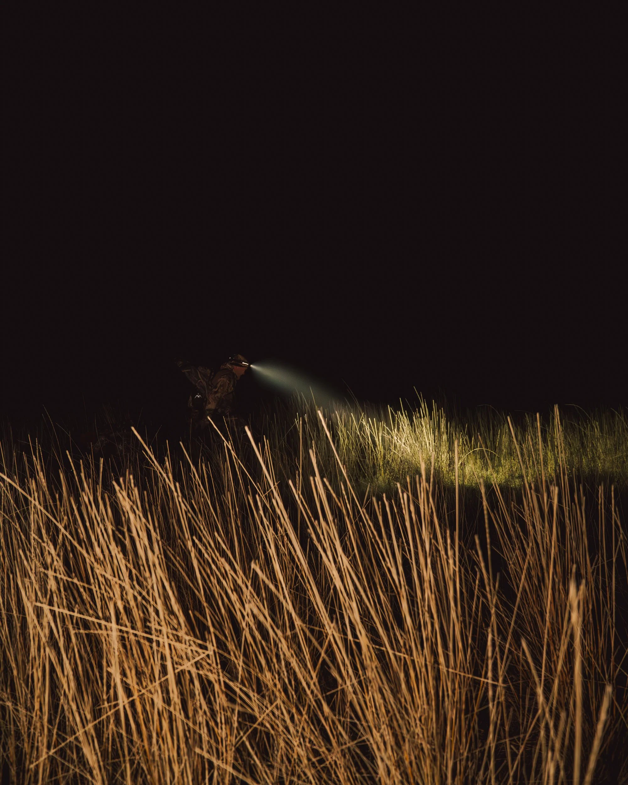 A person in camouflage clothing using a flashlight at night in a field of tall grass.