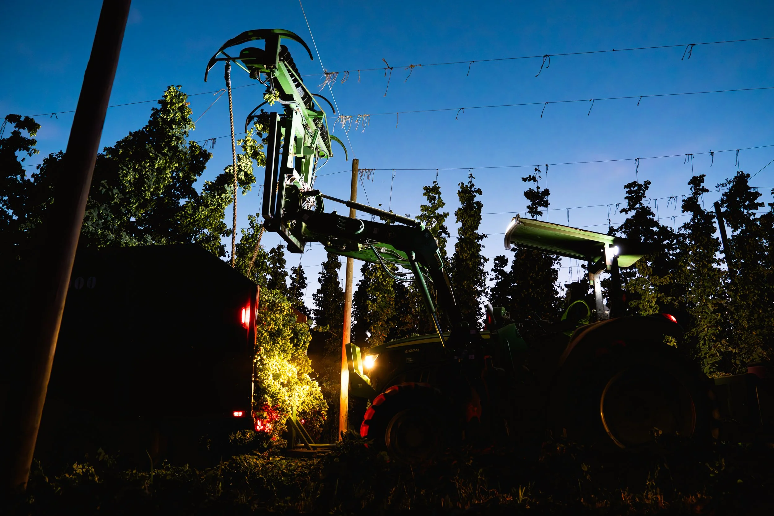 A tractor with an attached fruit harvesting arm working in a vineyard at dusk, with electrical lines overhead and trees in the background.