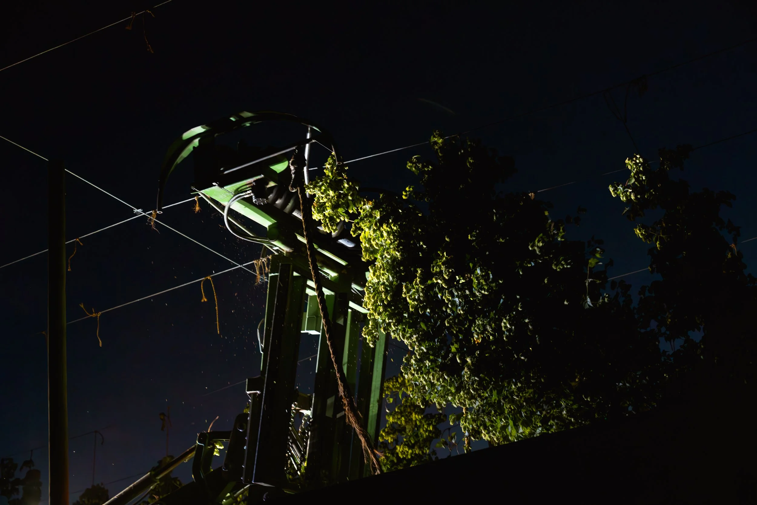 Tree being harvested at night by a modern cherry picker with a person working on the branches, illuminated by artificial light.