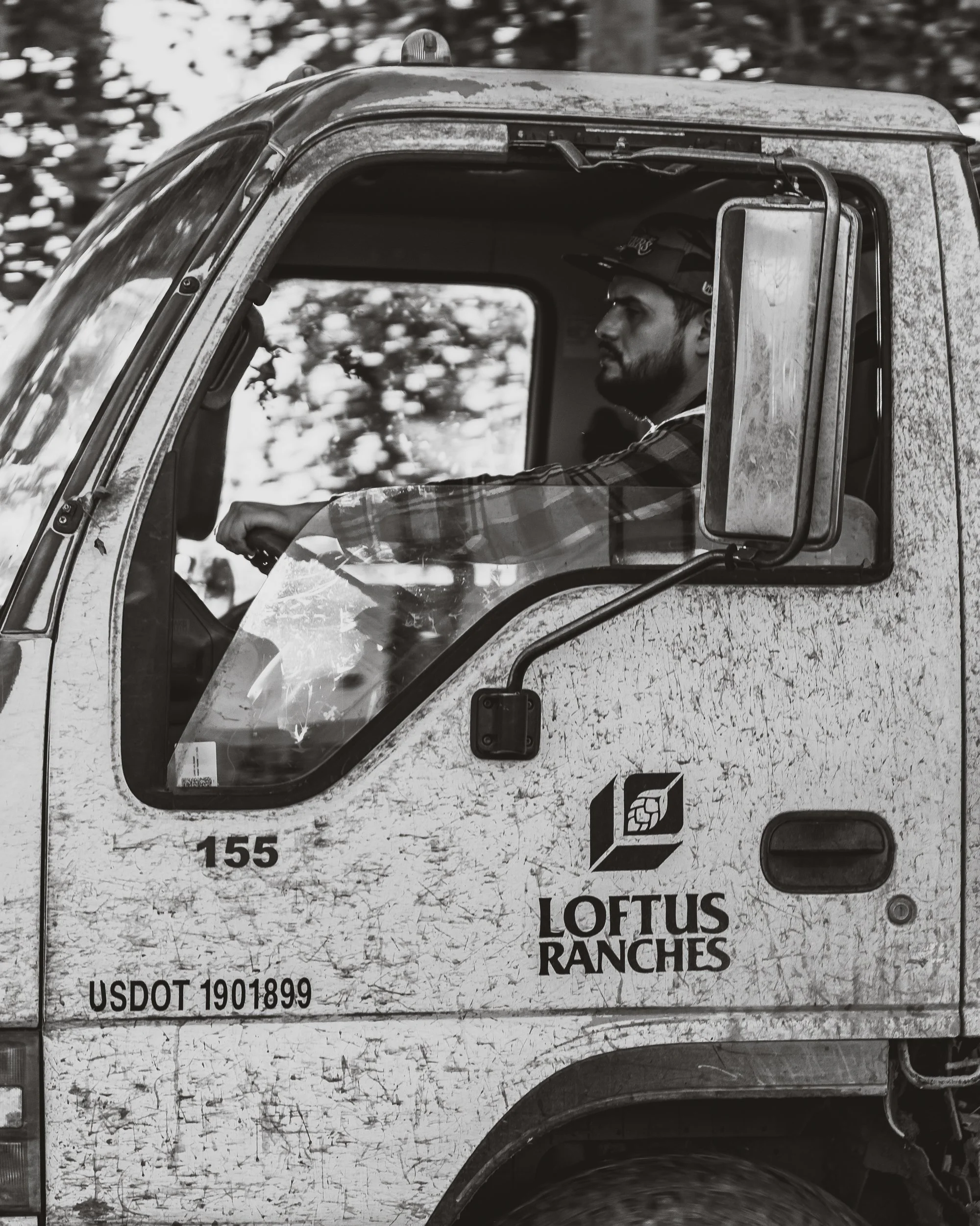 Black and white photo of a man driving a Loftus Ranches truck, wearing a hat and plaid shirt, with trees blurred in the background.