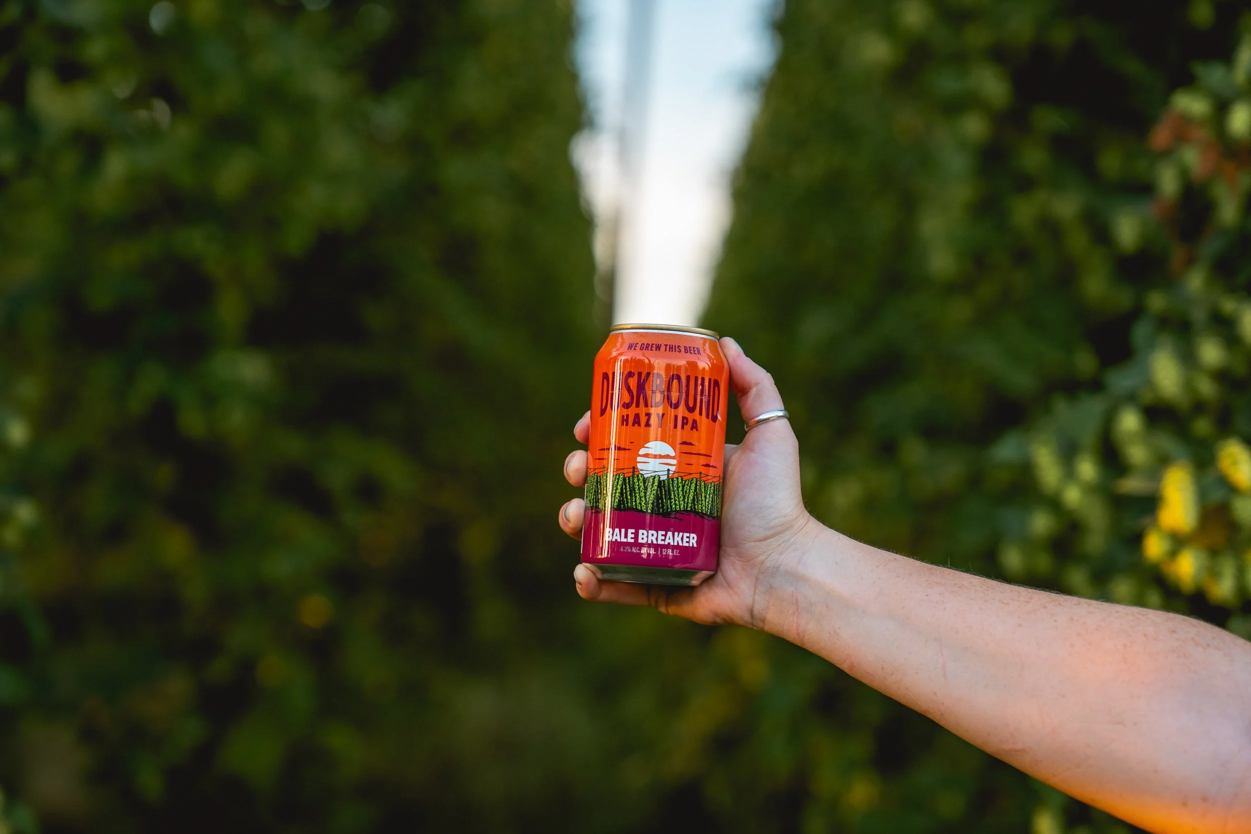 A person holding a can of Duskbound Hazy IPA beer called Bale Breaker in front of a lush green vineyard with a focus on the can, blurry background.