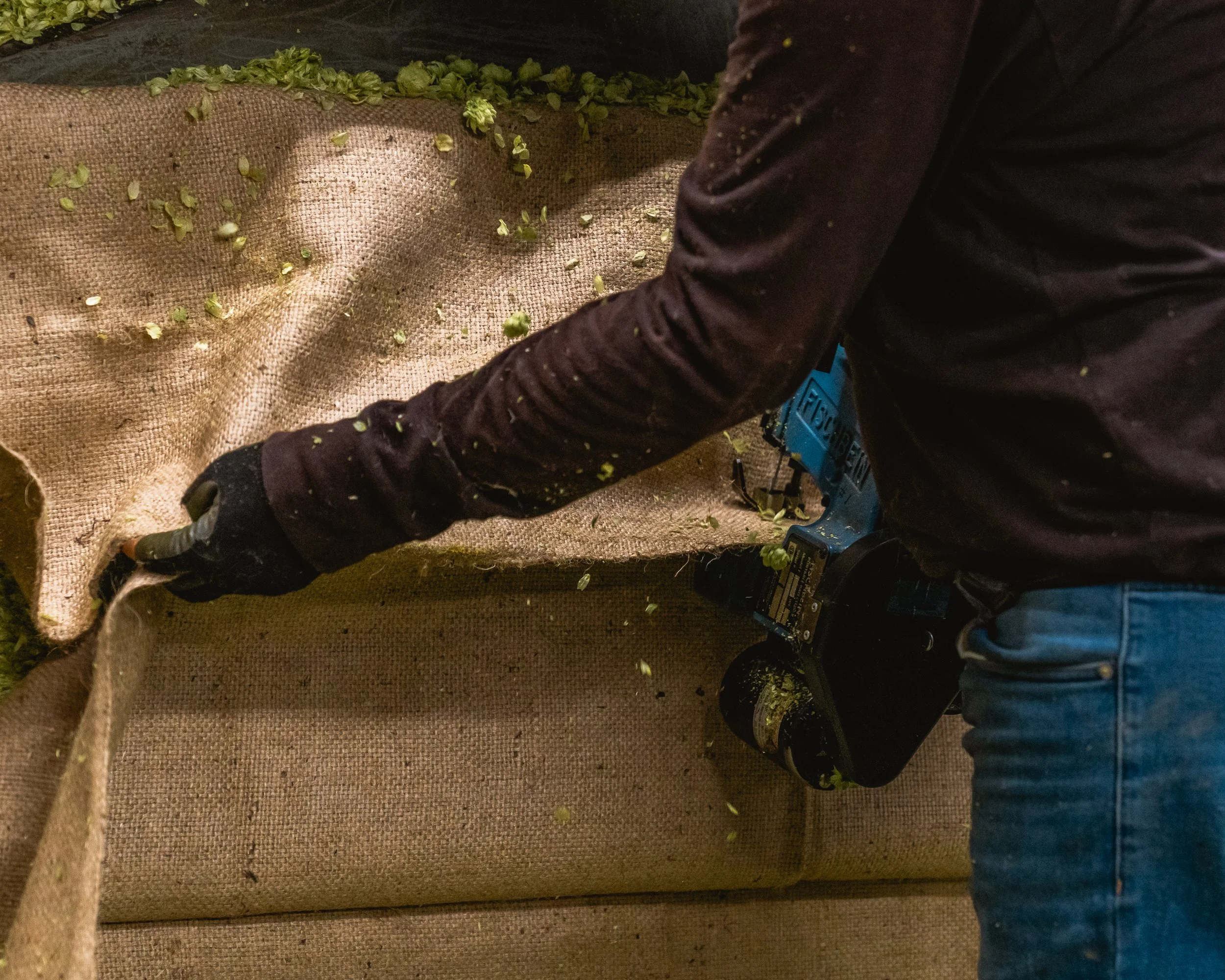 Person using a stapler on a large piece of burlap fabric, with green plant debris scattered around.