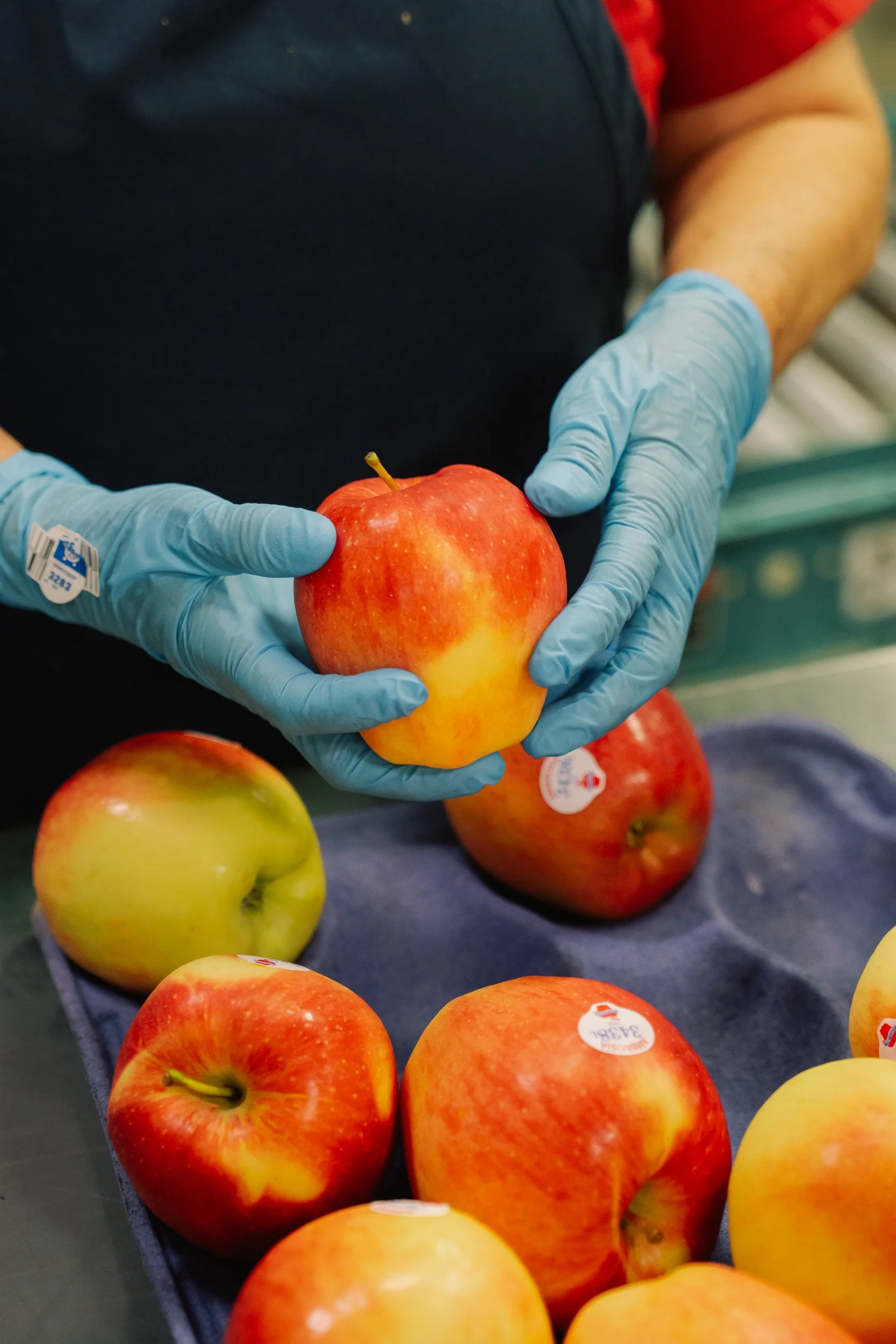 Linda Fruit-183.jpg