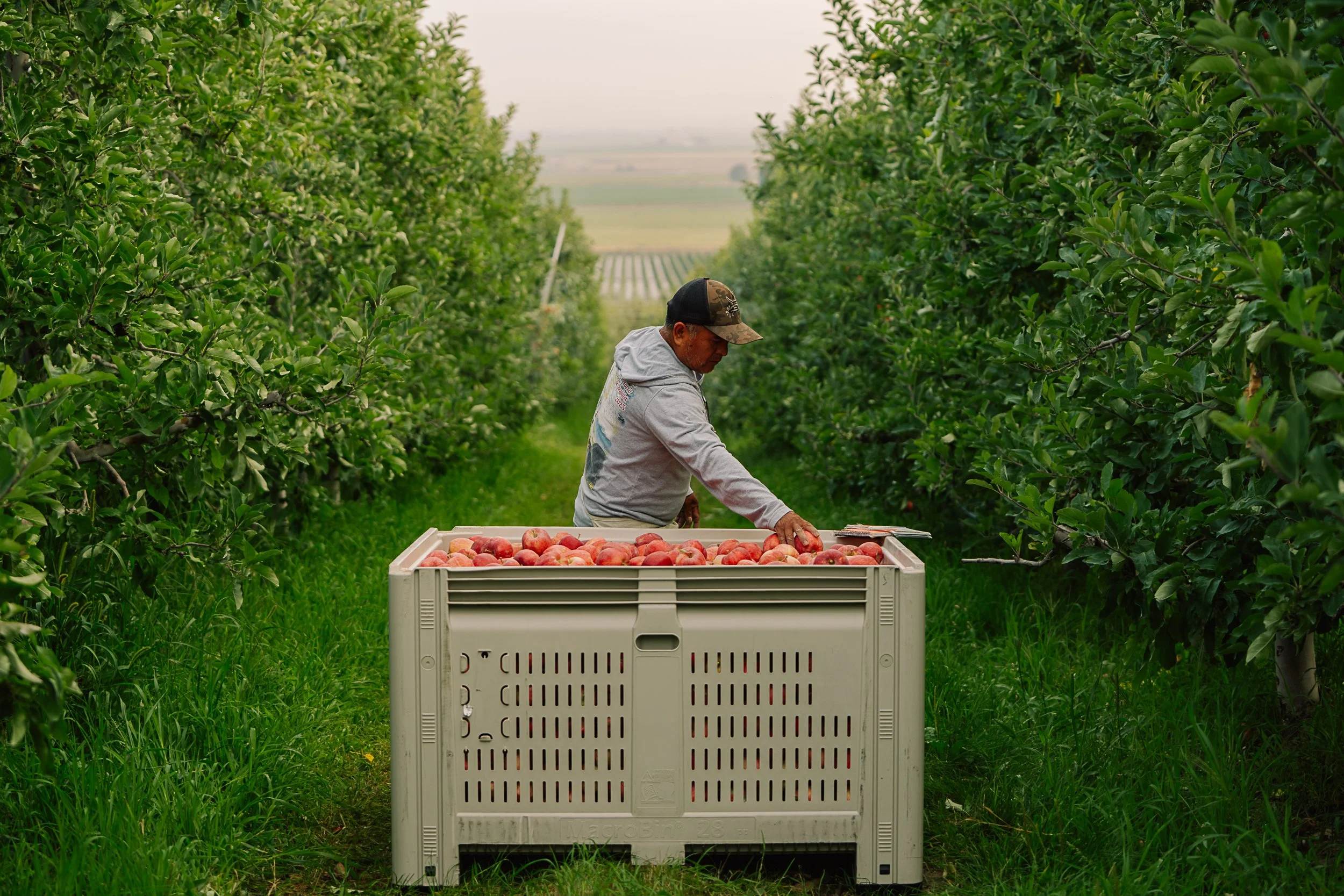 Linda Fruit-091.jpg
