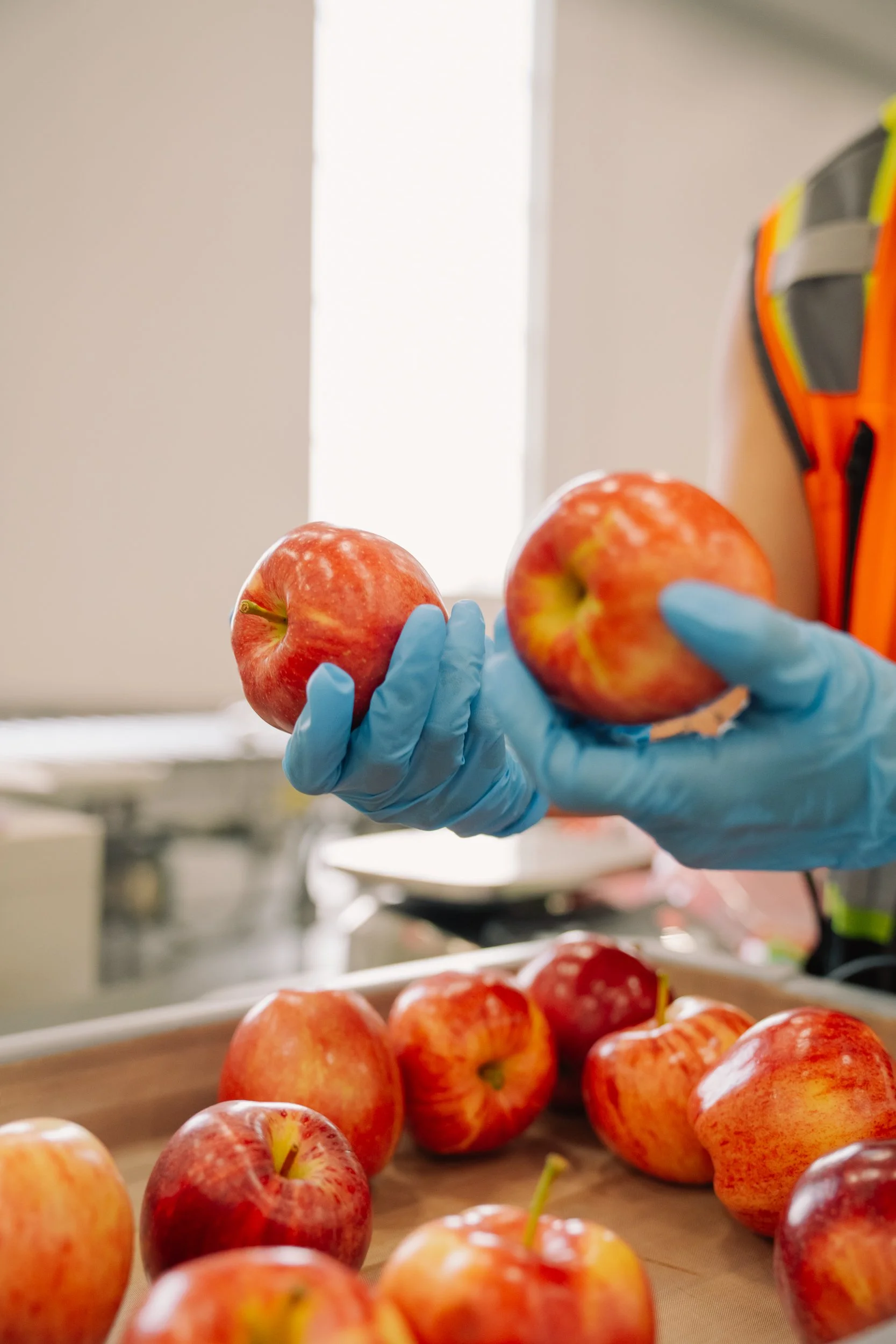 Linda Fruit-25.jpg