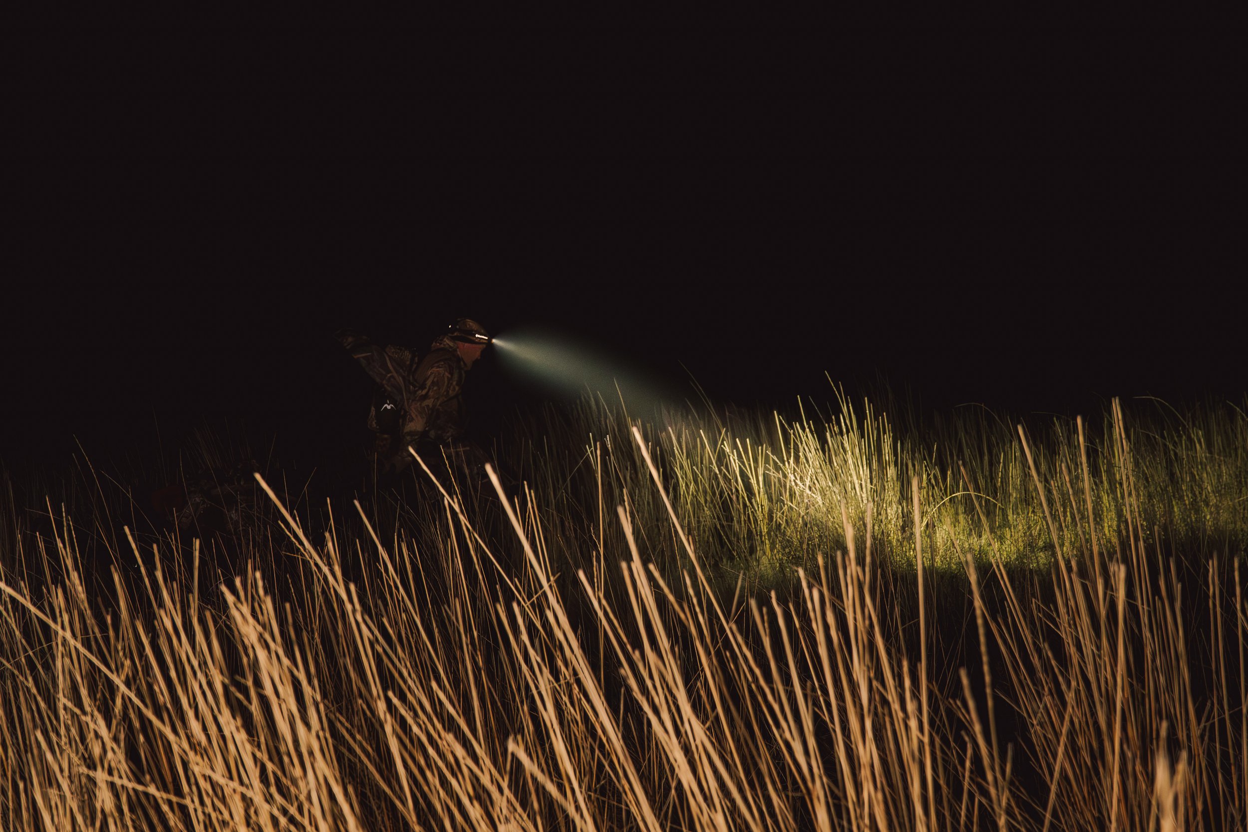 Person in camouflage clothing with headlamp using a flashlight in tall grass at night.