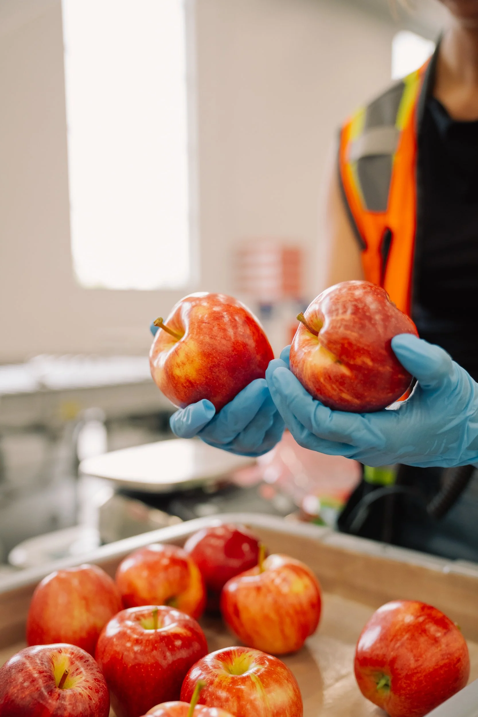 Linda Fruit-26.jpg