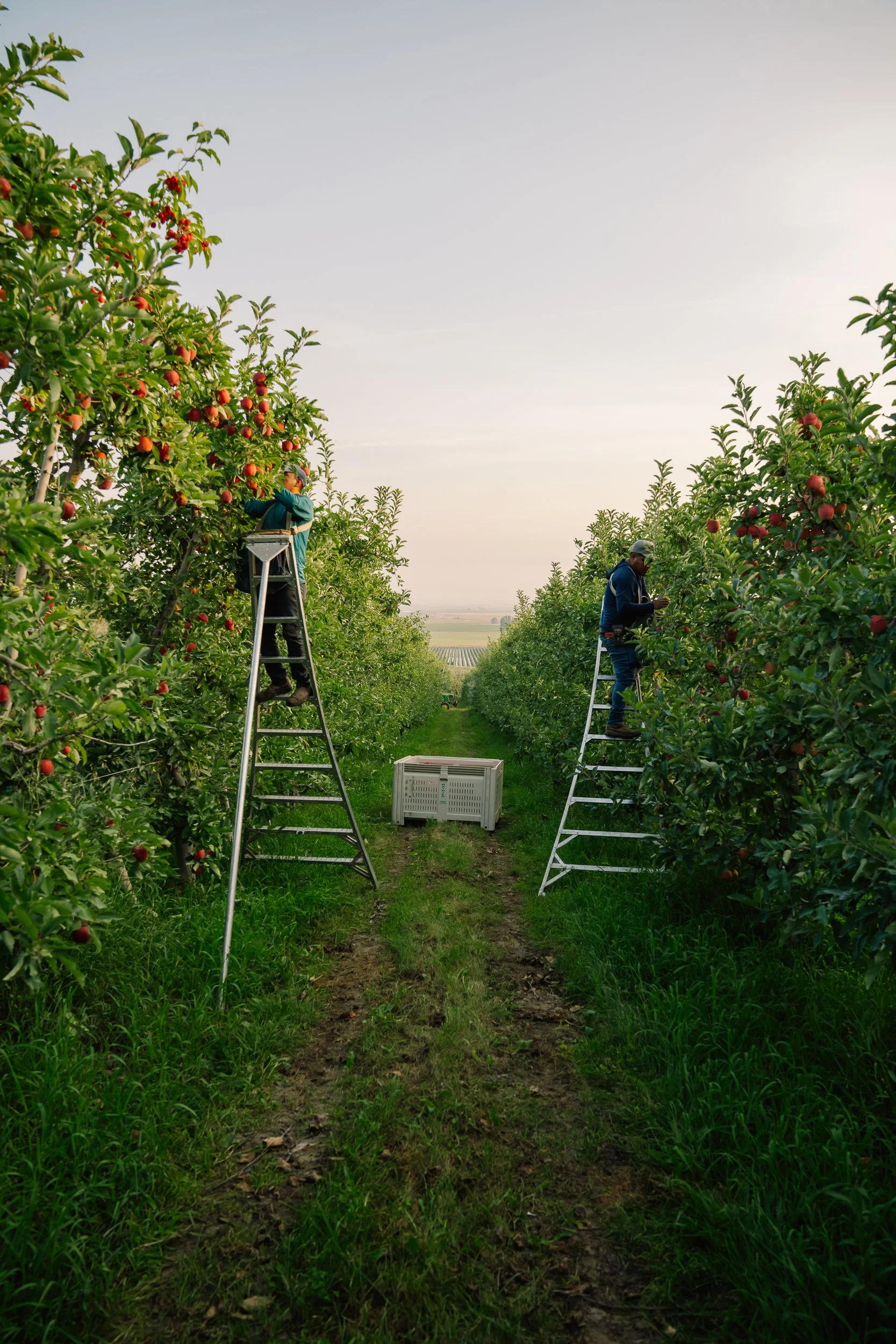 Linda Fruit-128.jpg