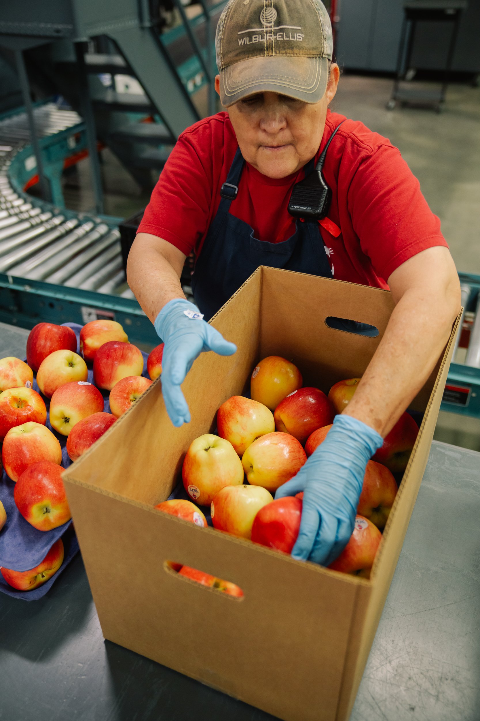 Linda Fruit-179.jpg