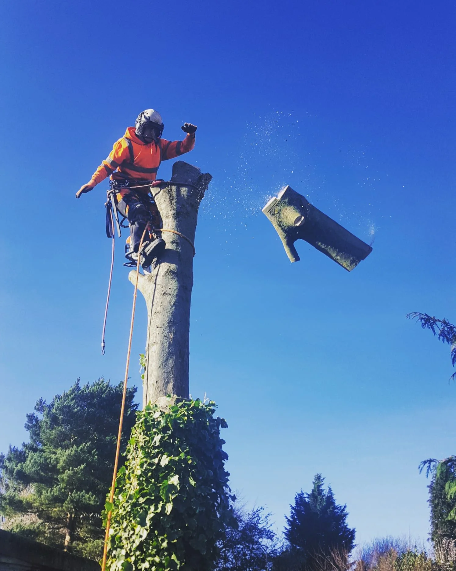 A worker wearing safety gear, including a helmet and harness, standing on a tall tree stump, knocking over a metal trash can with a hammer, causing it to fly through the air and spray debris against a clear blue sky.