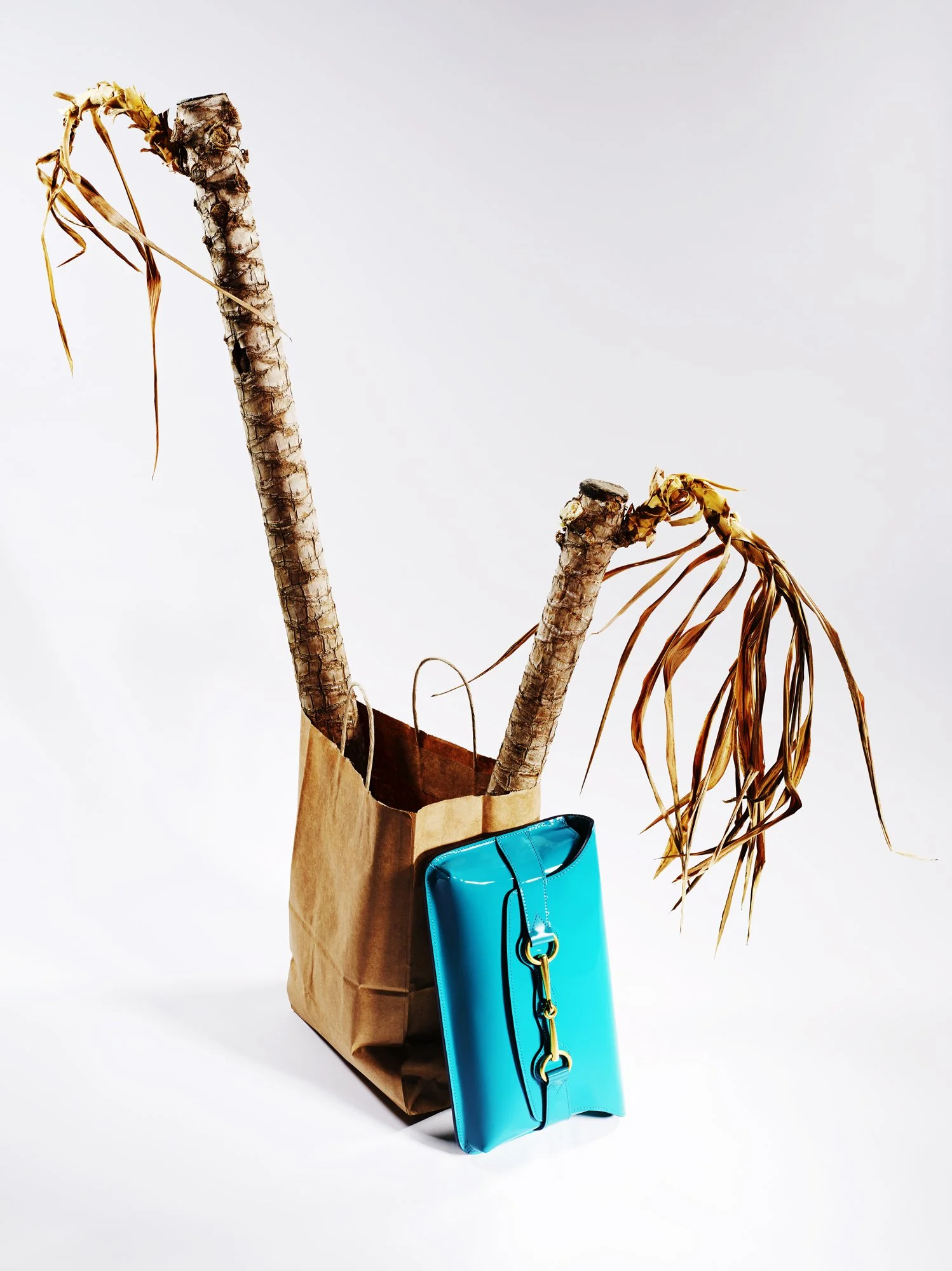 BAG_GUCCI_CLUTCH_CONTACT.jpg