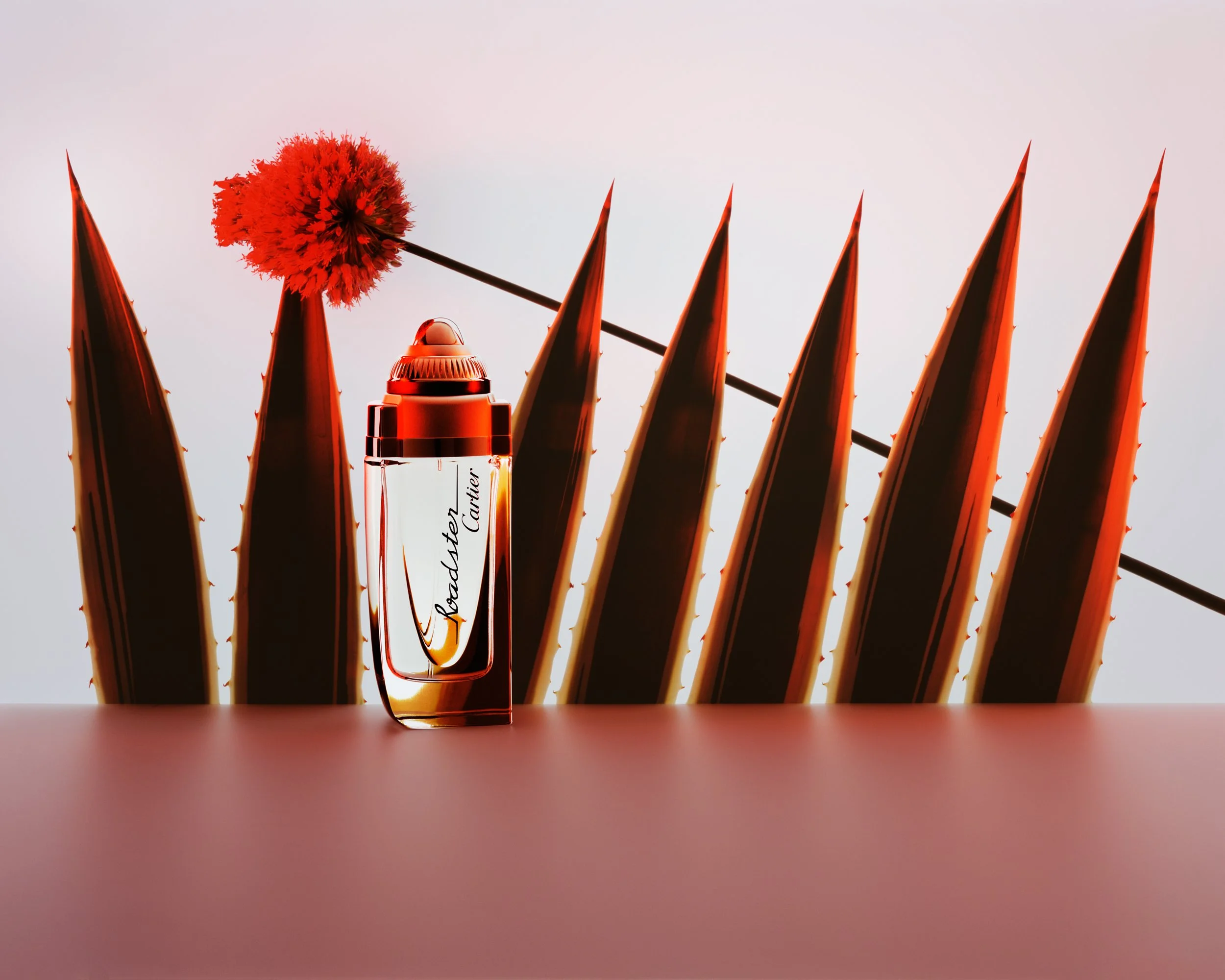 AKIRA_PERFUME_CARTIER_ROADSTER_CONTACT.jpg