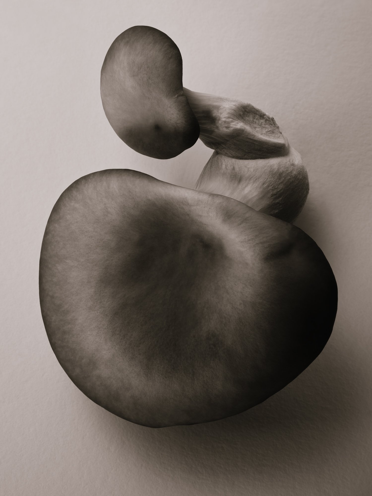STILL-LIFE_1014202228915_CONTACT.jpg