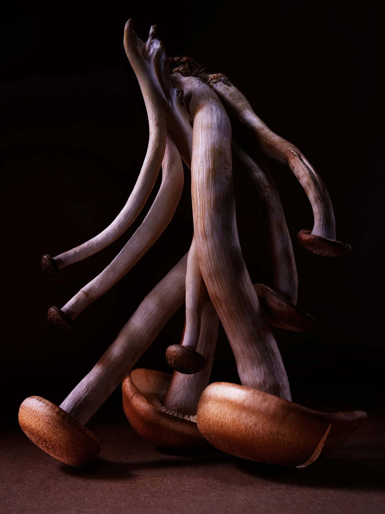 STILL-LIFE-1
