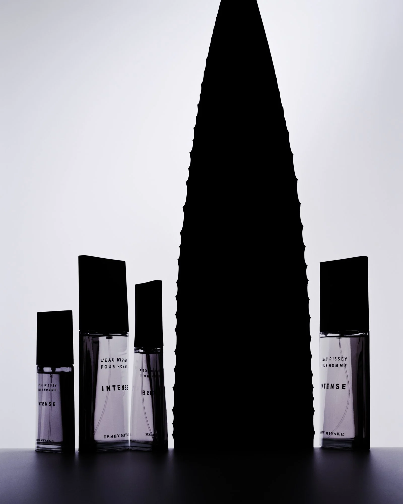 STILL-LIFE_3_CONTACT.jpg