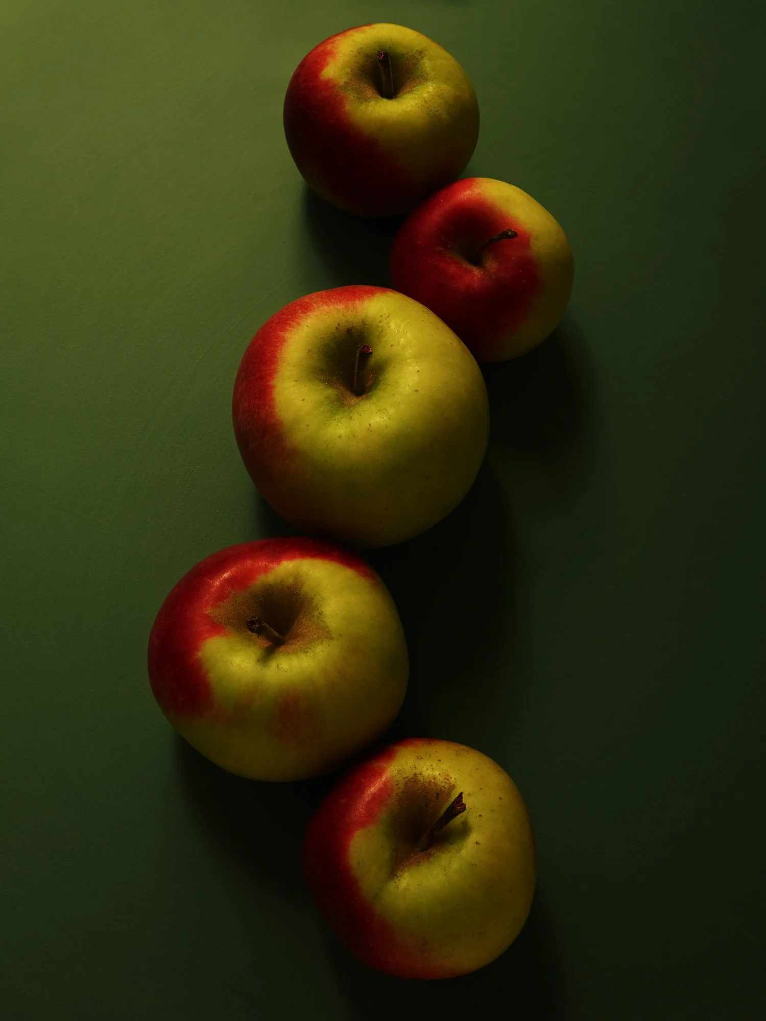 STILL-LIFE_11022022_32867_CONTACT.jpg