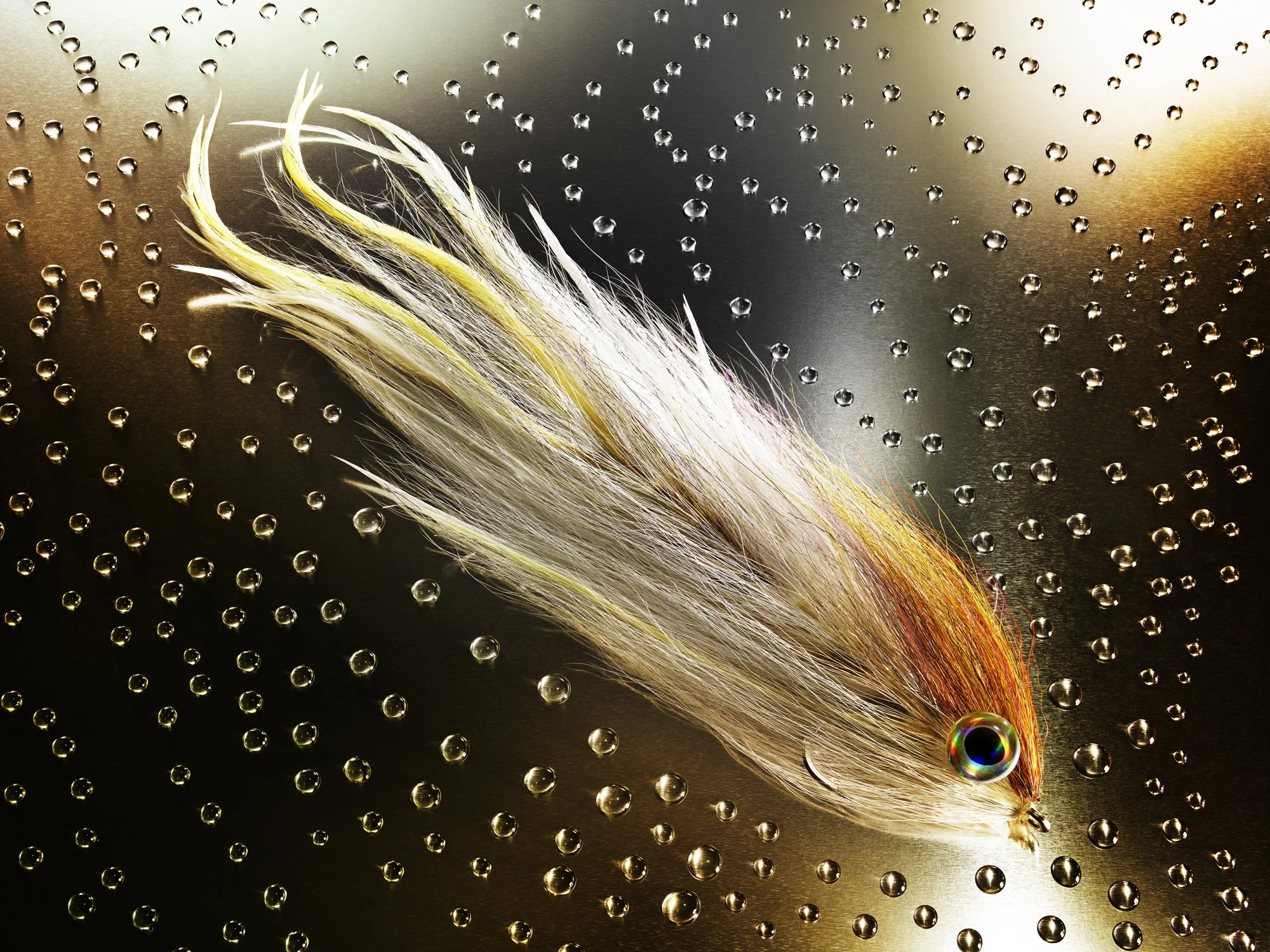 BLOOMBERG_PURSHUITS_BEN_WHALLEY_FIHSING_BEAST_FLEYE_MENHADEN_CONTACT.jpg