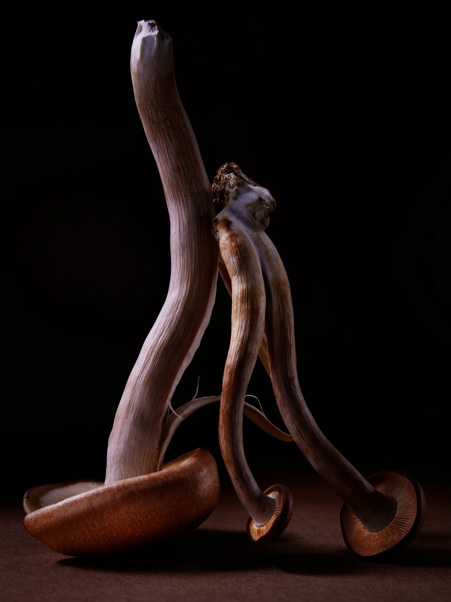 STILL-LIFE_04082023_48968_CONTACT.jpg