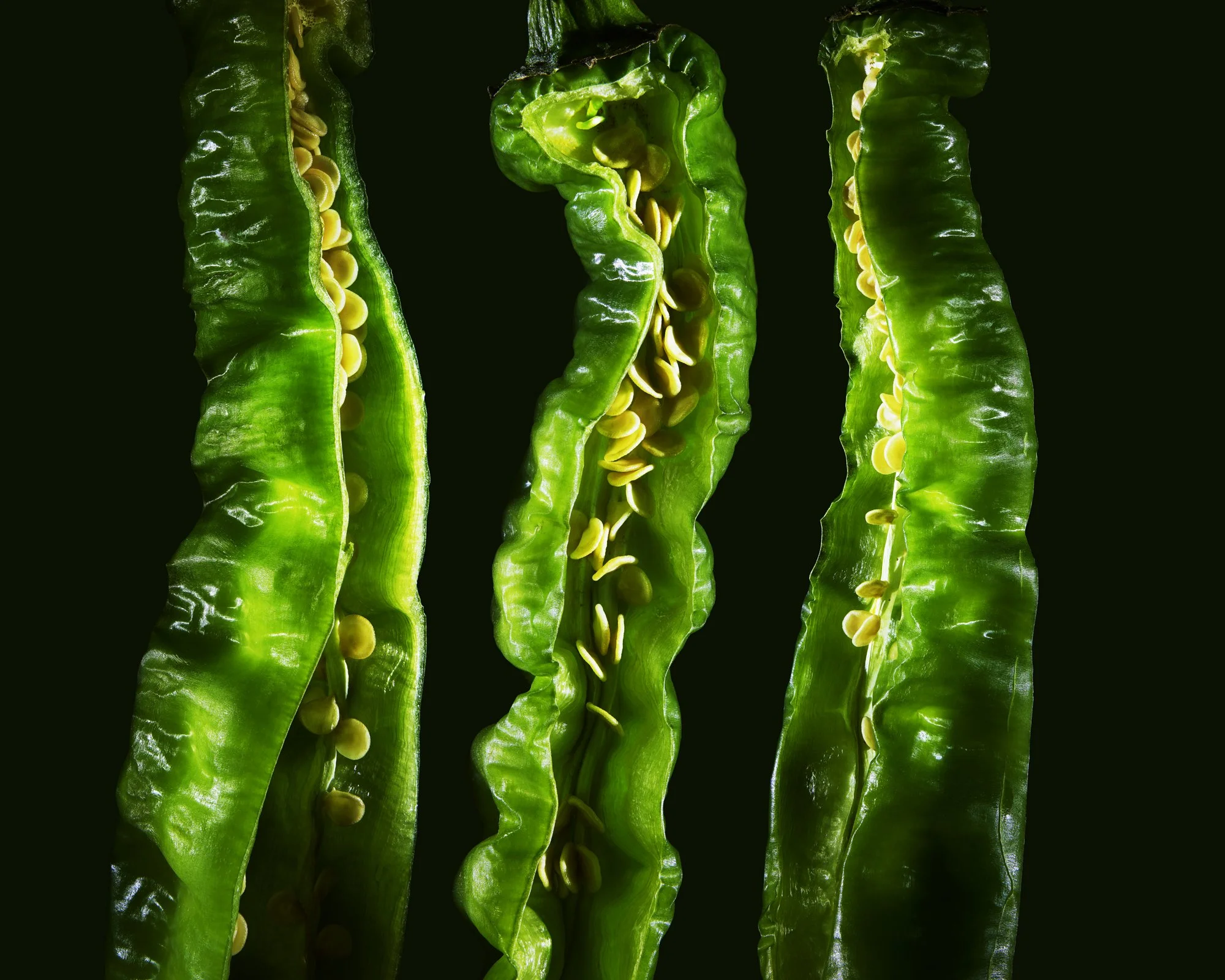 THE NEW YORK TIMES_PEPPER_APRIL_GREEN_COMP_CONTACT.jpg