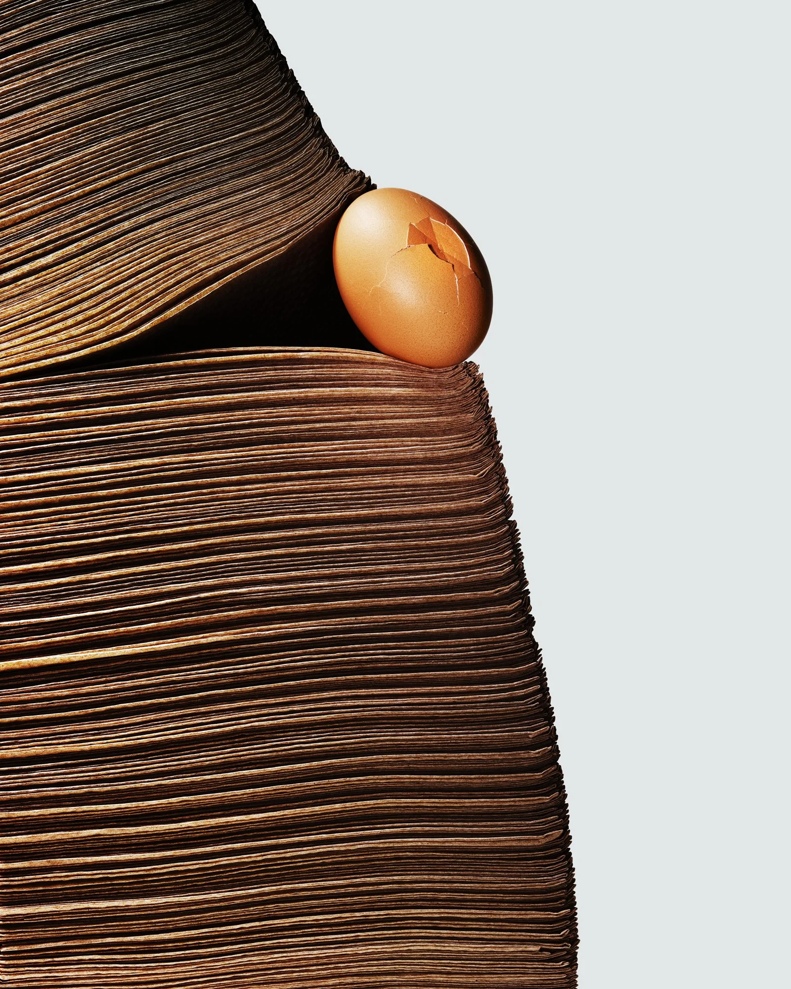 BROWN_EGG_NAPKIN_CONTACT.jpg