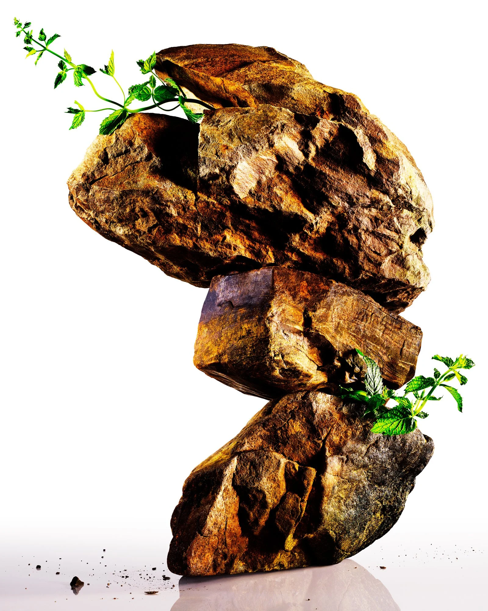 WOMENS_HEALTH_NOV_2020_GROW-OF-IT_ROCK_CONTACT.jpg